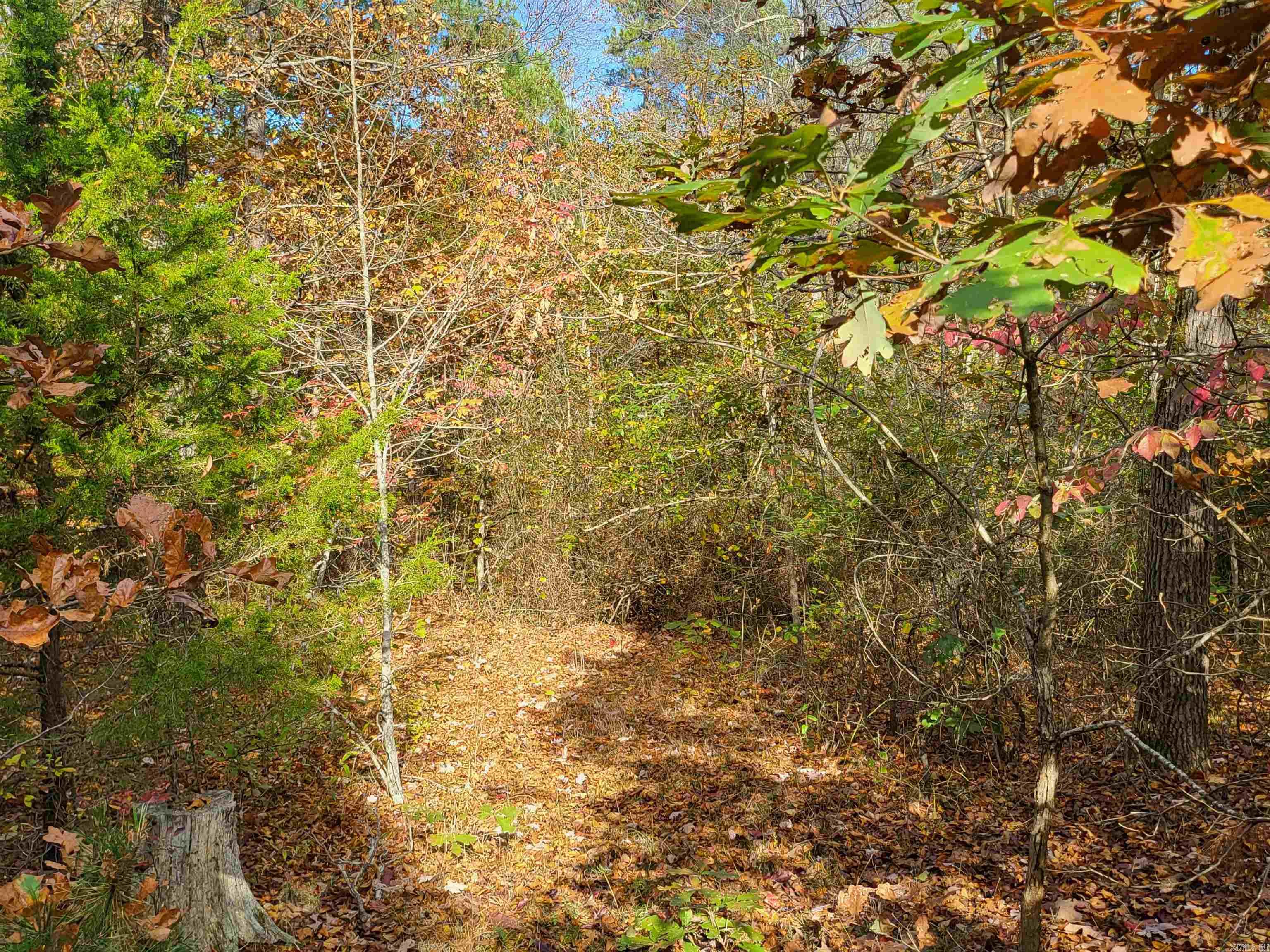 Metes & Bounds - Land