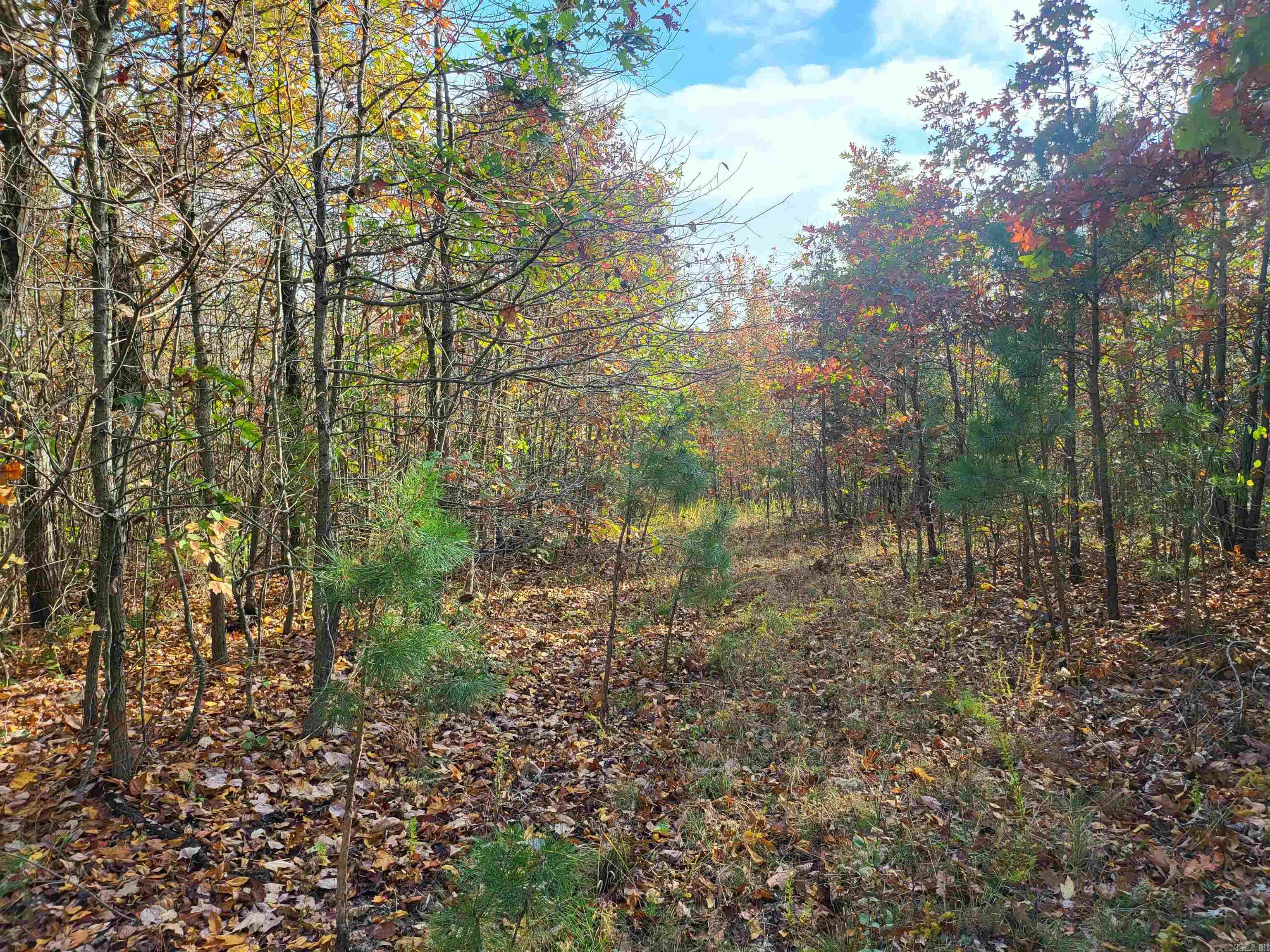 Metes & Bounds - Land