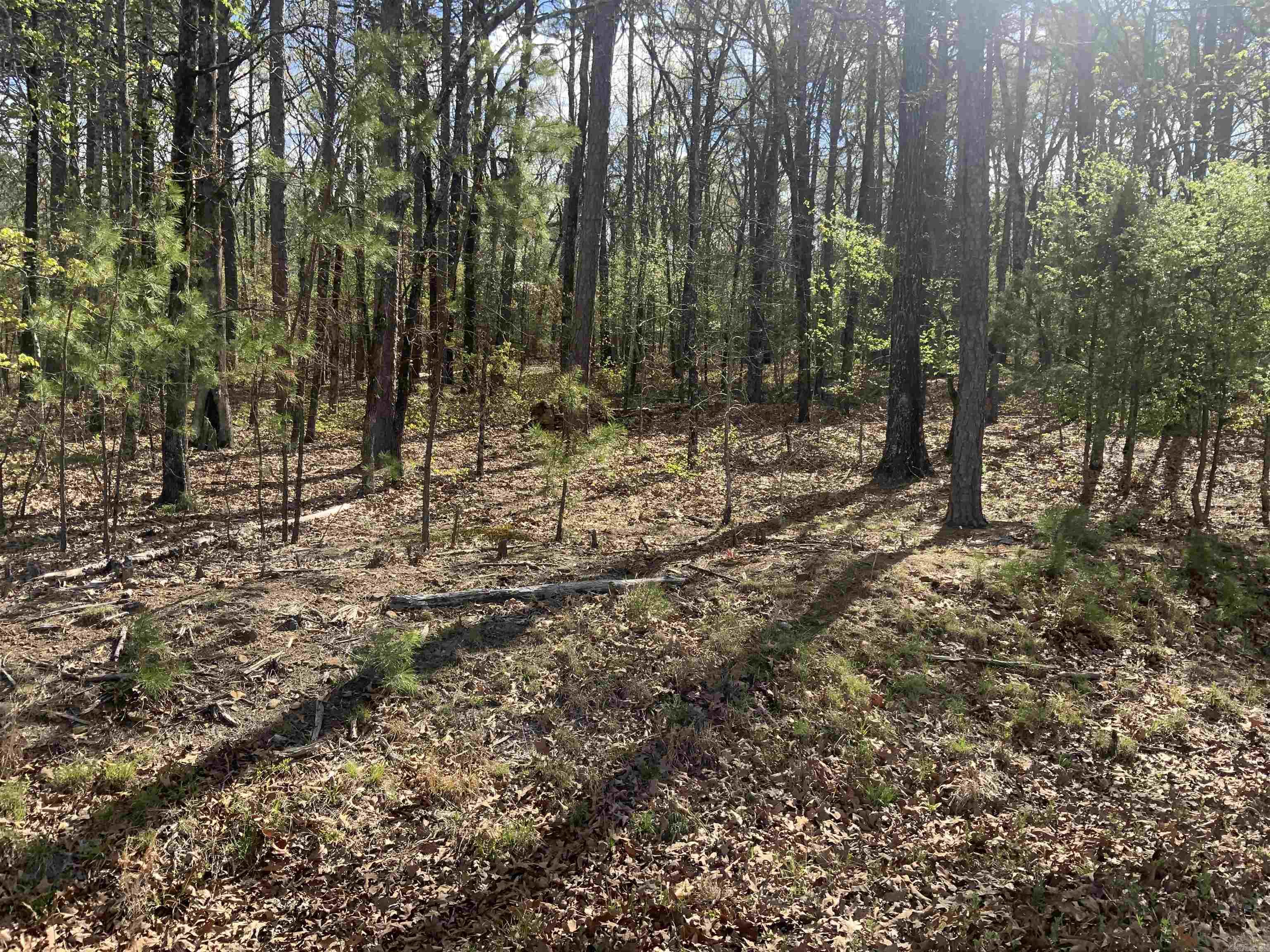 Island Shores - Land