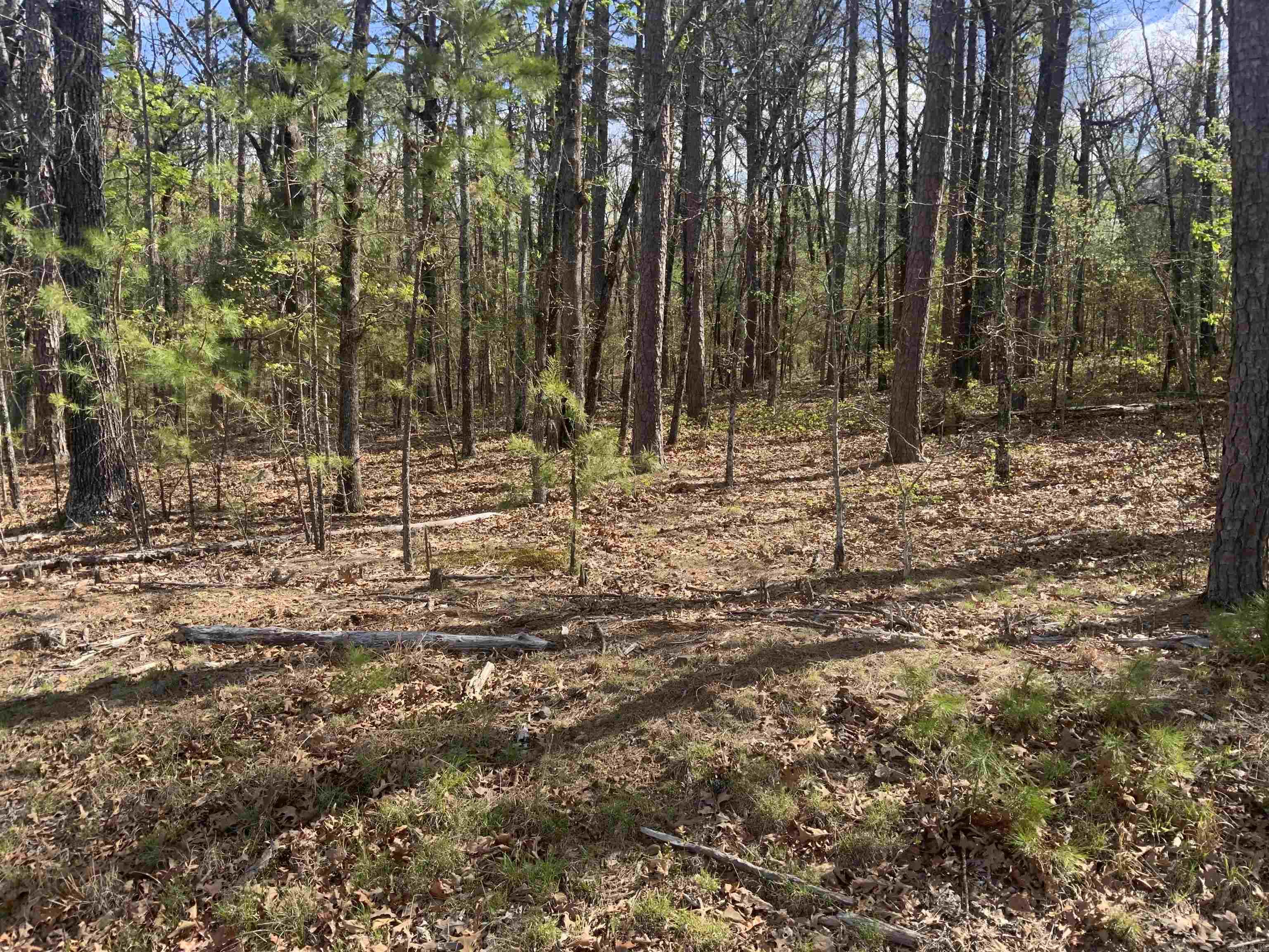 Island Shores - Land