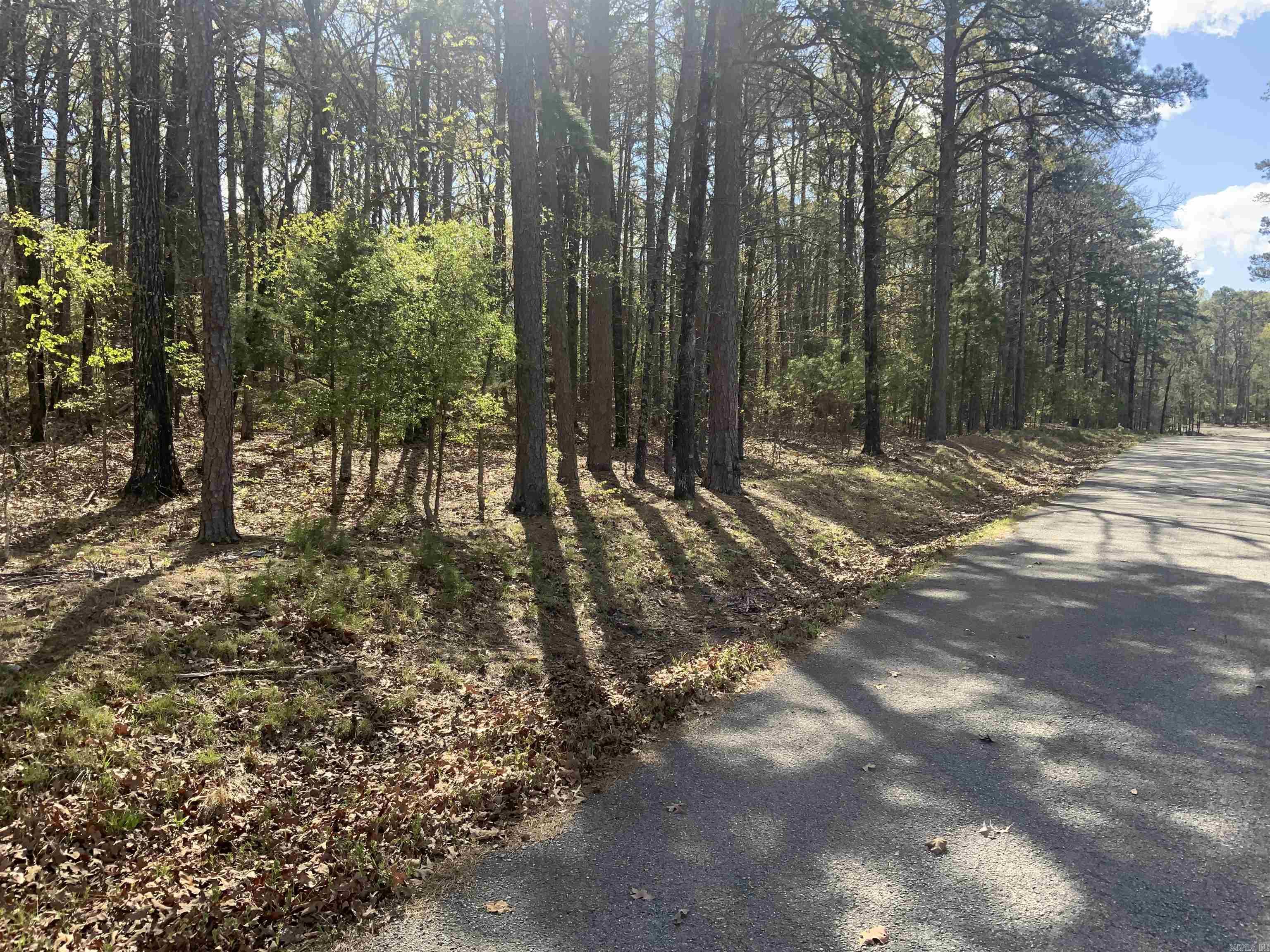 Island Shores - Land