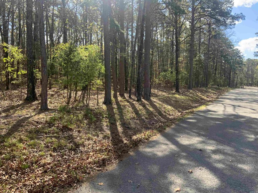 Very nice subdivision, lot is across the road from the lake.