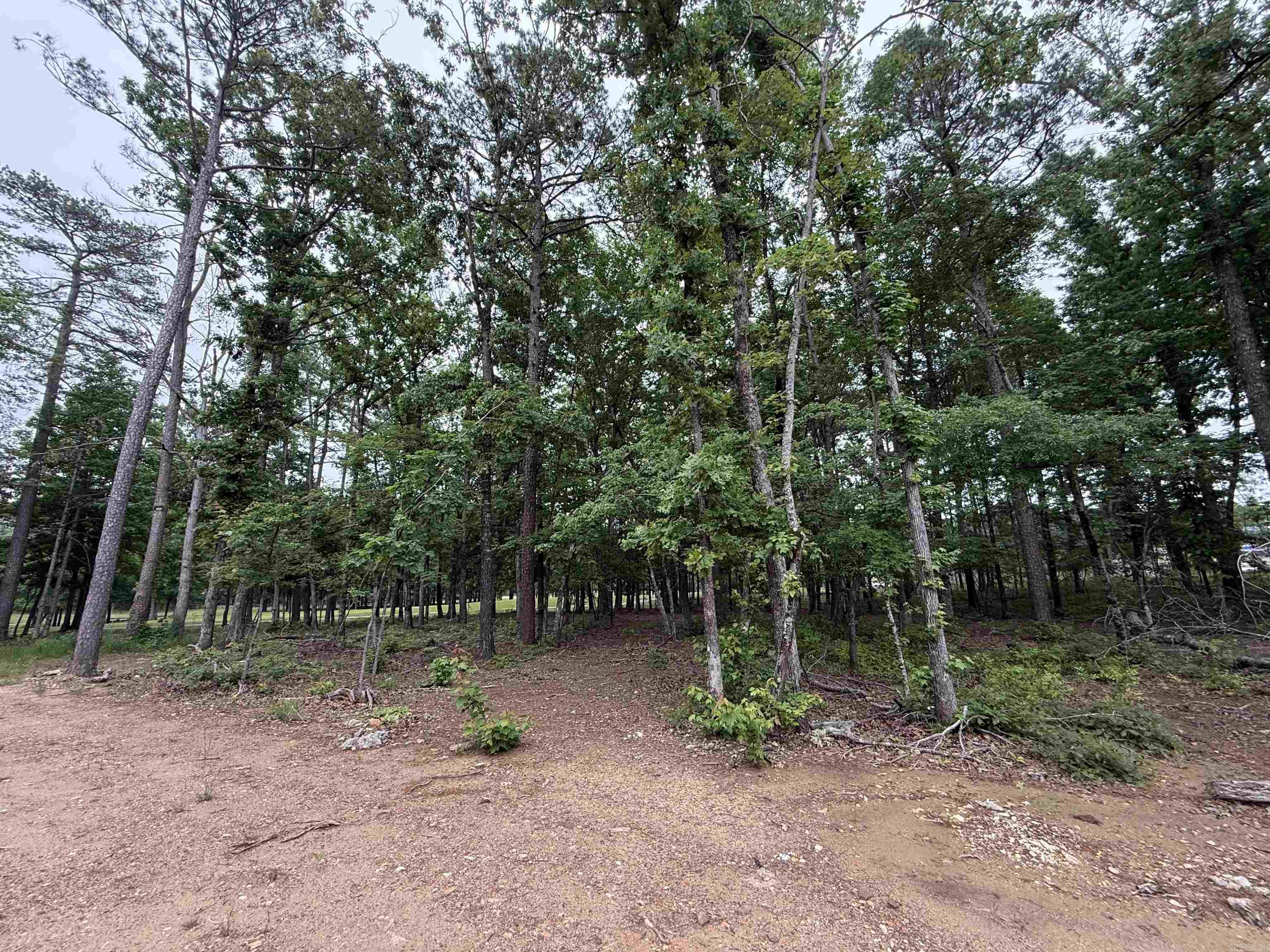 CHENAL VALLEY "MIRAMONT CIRCLE" - Land