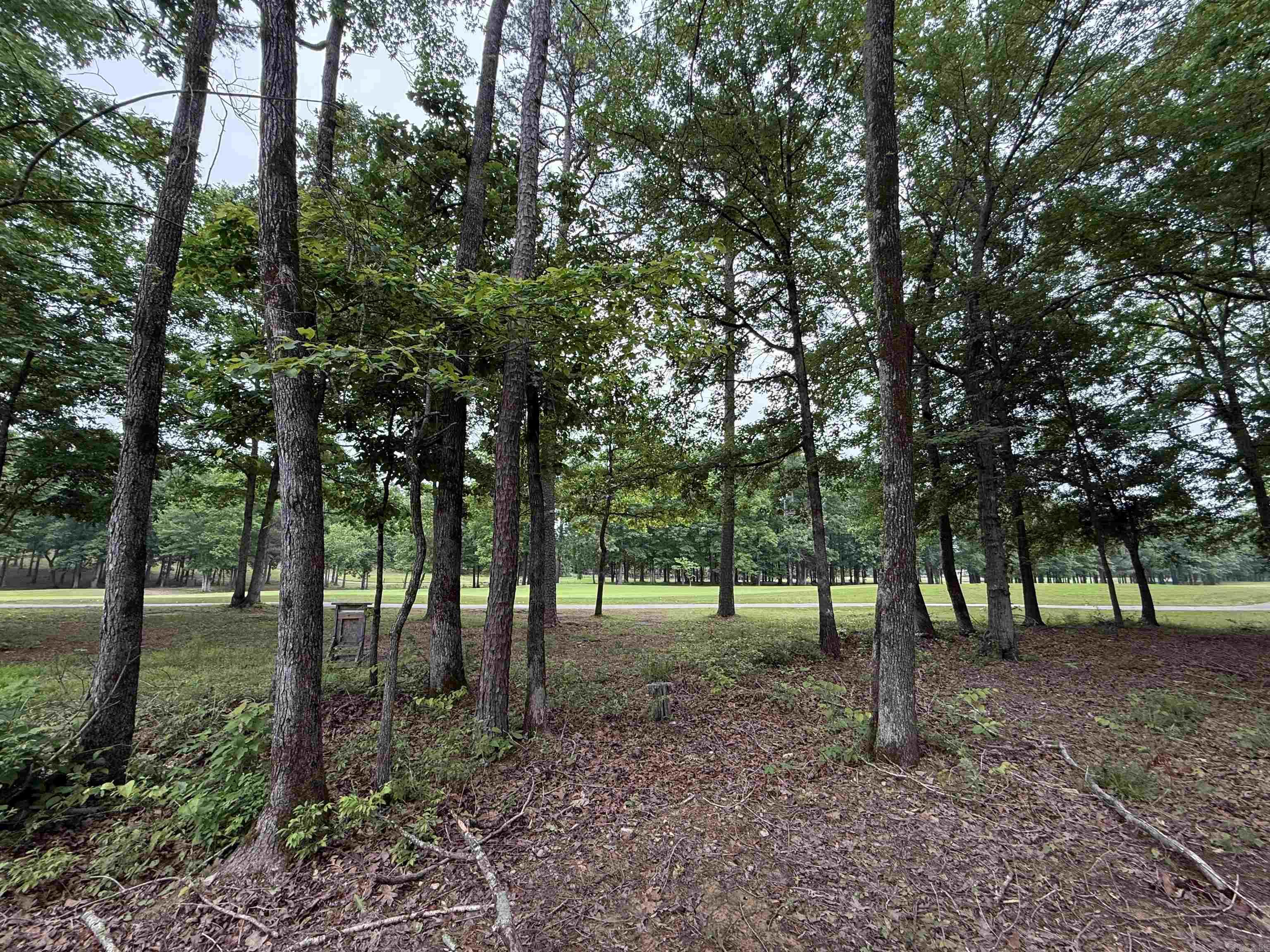 CHENAL VALLEY "MIRAMONT CIRCLE" - Land