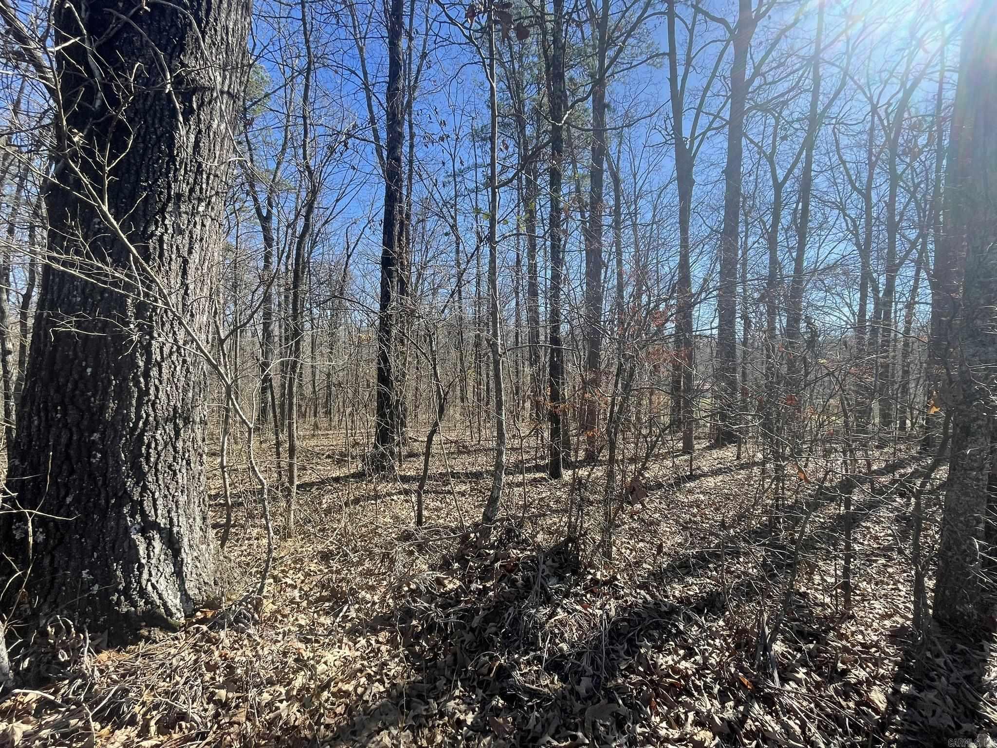 19500 Congo Ferndale Road is the approximate address. 5.25 acres wooded lot with hardwoods and pine trees located right across the street from Pine Hill Ranch! There are a few restrictions, (information is included in the documents) such as a minimum of 1800 sq. ft. heated space. This a beautiful piece of land to build your dream home located in Saline County, but convenient to Little Rock, Benton and Bryant. Survey and seller's perc test is included in the documents.