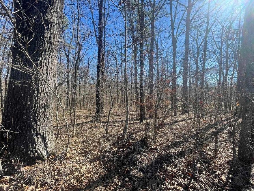 19500 Congo Ferndale Road is the approximate address. 5.25 acres wooded lot with hardwoods and pine trees located right across the street from Pine Hill Ranch!  There are a few restrictions, (information is included in the documents) such as a minimum of 1800 sq. ft. heated space.  This a beautiful piece of land to build your dream home located in Saline County, but convenient to Little Rock, Benton and Bryant.  Survey and seller's perc test is included in the documents.