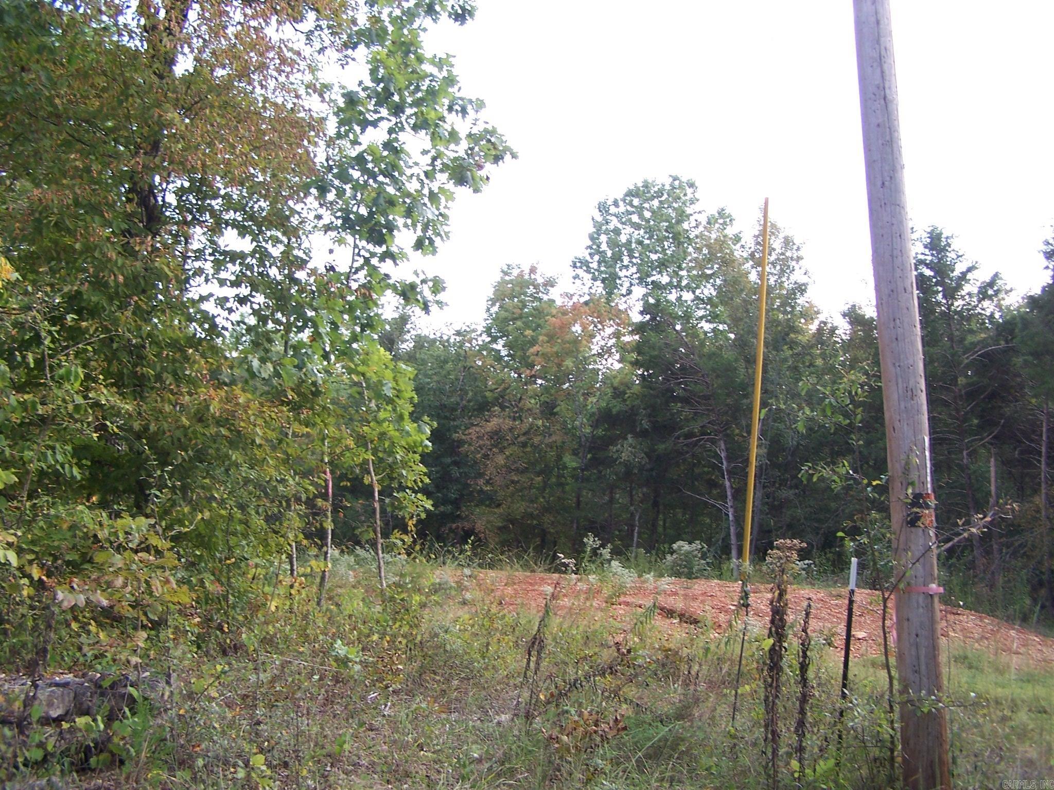 Woodland Hills - Land