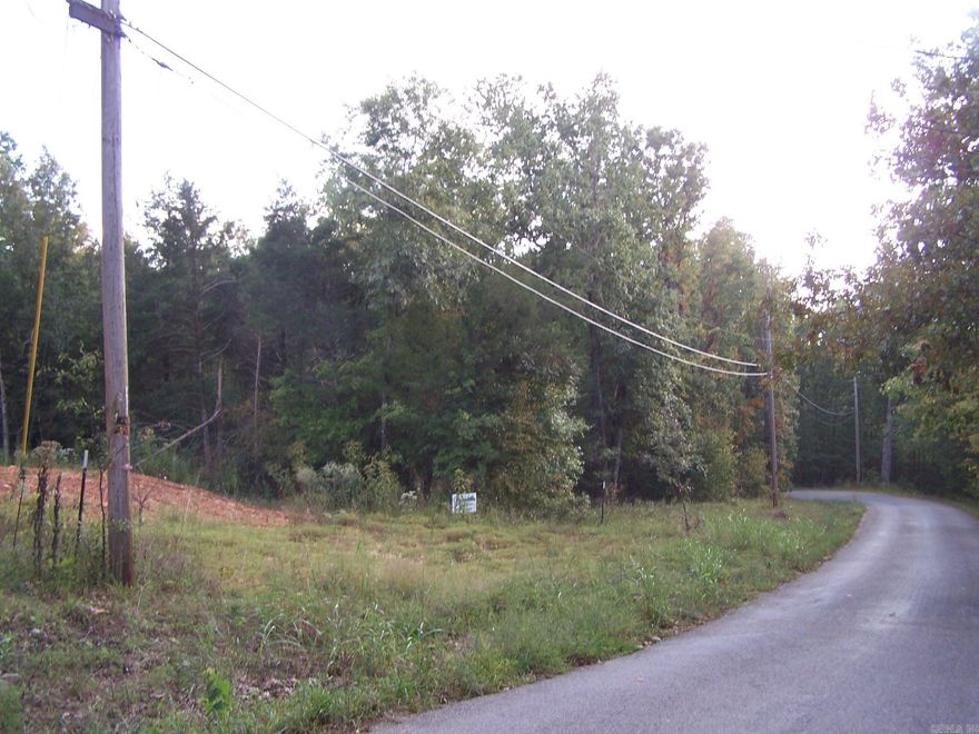 This Lake view lot overlooking Lake Sherwood-a 110 acre recreational spring fed private  lake-has city sewer & city water available. Lot has site preparation done and ready to build your lakeview cabin or home. Owner has all lake amenities for two lakes-skiing, tubbing, canoeing, swimming, fishing or just paddle boarding.  You are only a block away from down town Historic Hardy and Spring River for river sports.