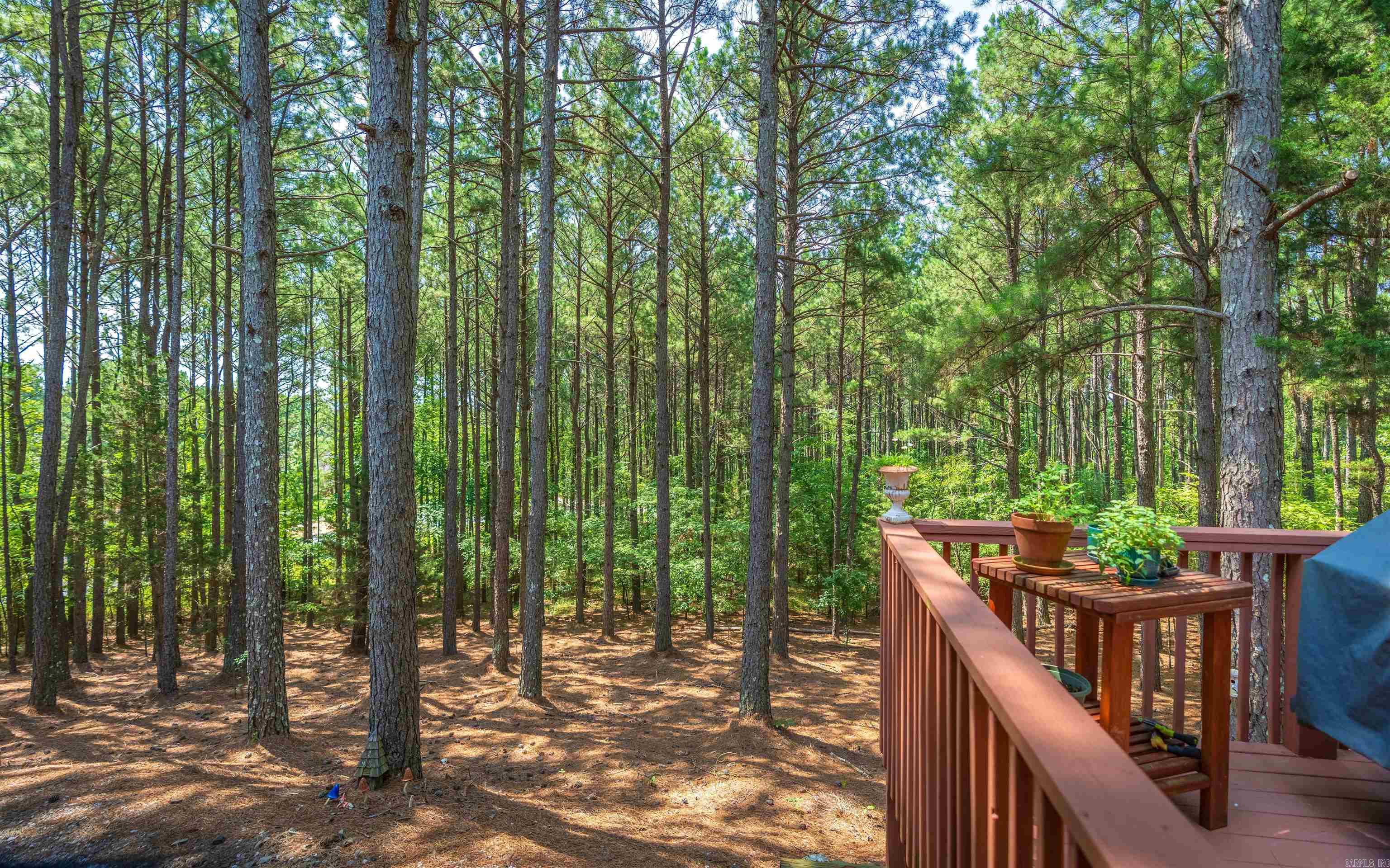 Isabella - Residential