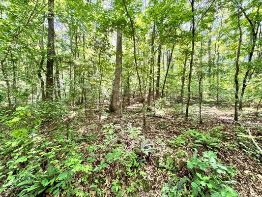 RED RIVER RD, FOX, AR 72051 - Image 240e276e889bcc5e307e88e162bd43d8/3396248655