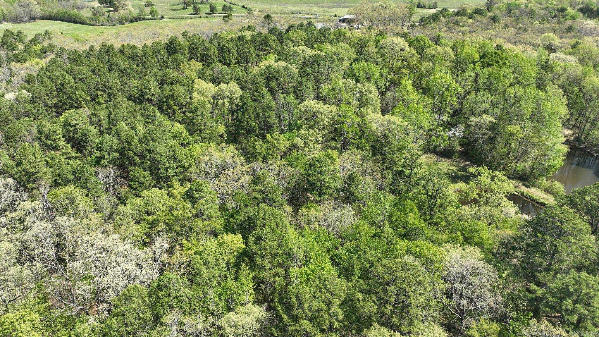 MOUNTAIN FORK (NO PARCELS) - Residential