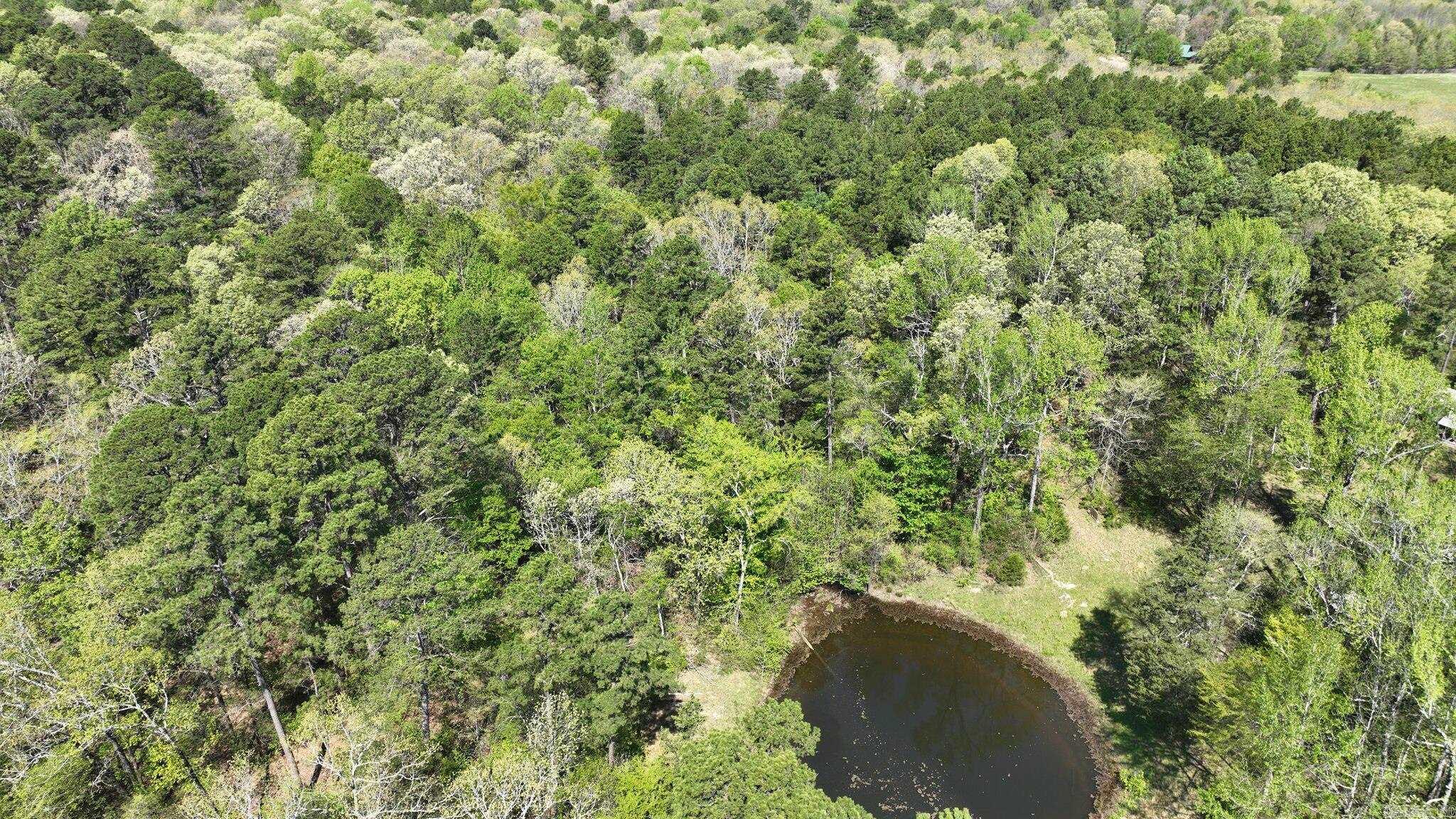 MOUNTAIN FORK (NO PARCELS) - Residential