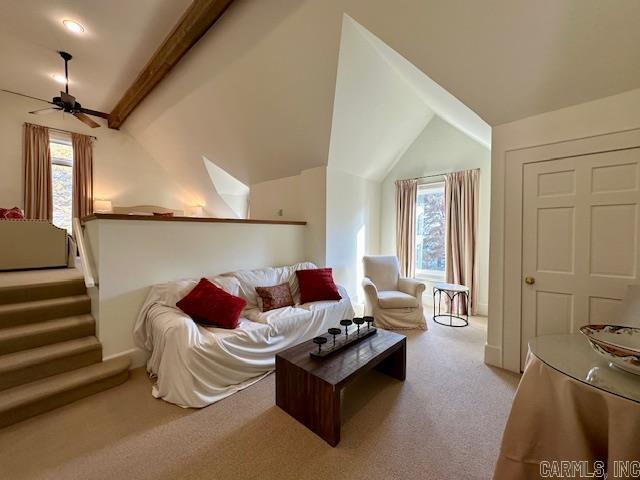 Horseshoe Lake - Residential