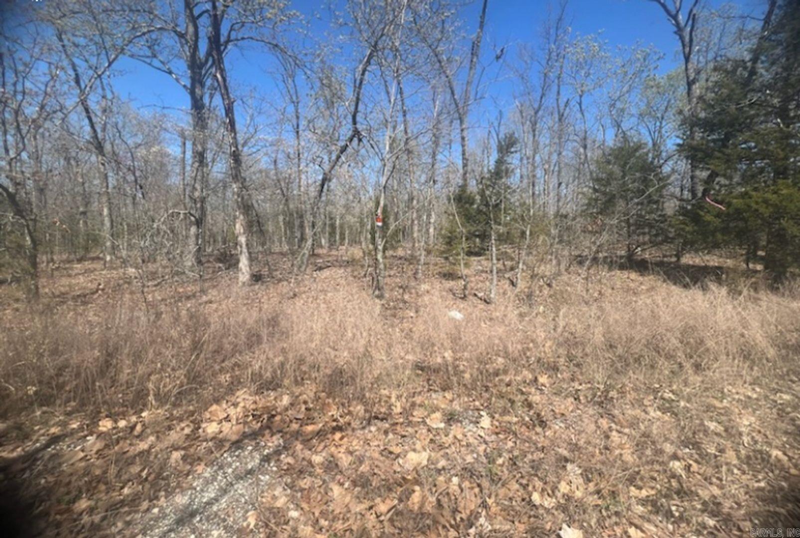 Owner financing available- This 0.30-acre flat lot of beautiful trees is located off of an asphalt road that can be found on the outskirts of Horseshoe Bend! This area of Horseshoe Bend is growing, with a few houses up in the neighborhood. Build the home you have always wanted or hold onto it for an investment down the road. This lot is just a short drive into town, where you can get gas, supplies, food, eat at the restaurants, etc. Or head to Mountain Home, where there are so many other amenities that could reach your needs. The Horseshoe Bend Water Department will have Water & Sewer information for you concerning water service and trash service. That number is 870-670-5885 or you can email at water@cityhsb.org The electricity is provided by North Arkansas Electric Cooperative. Their number is 870-895-3221. Horseshoe Bend has so much to do for the whole family like fishing, canoeing, golfing, bowling, swimming, etc. Diamond Lake & Crown Lake are a 5-minute drive from these lots! Crown Point Resort is also 5-minutes offering local jobs and entertainment! Horseshoe Bend is also ATV friendly, with a permit.