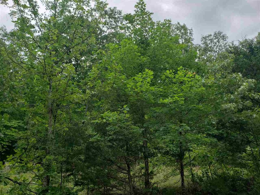 Great hillside property over looking a small valley with a wet weather creek. Wonderfully wooded lot. So secluded but minutes away from the North golf course or the town center. Wonderful secluded location with no neighbors. Come pick out your building spot on this wonderful lot in beautiful Cherokee Village. Test your skills on our two 18-hole golf courses. Go boating fishing or skiing on the 7 lakes and dont forget about tubing down the Southfork river until it meets the Spring river down in Hardy town.