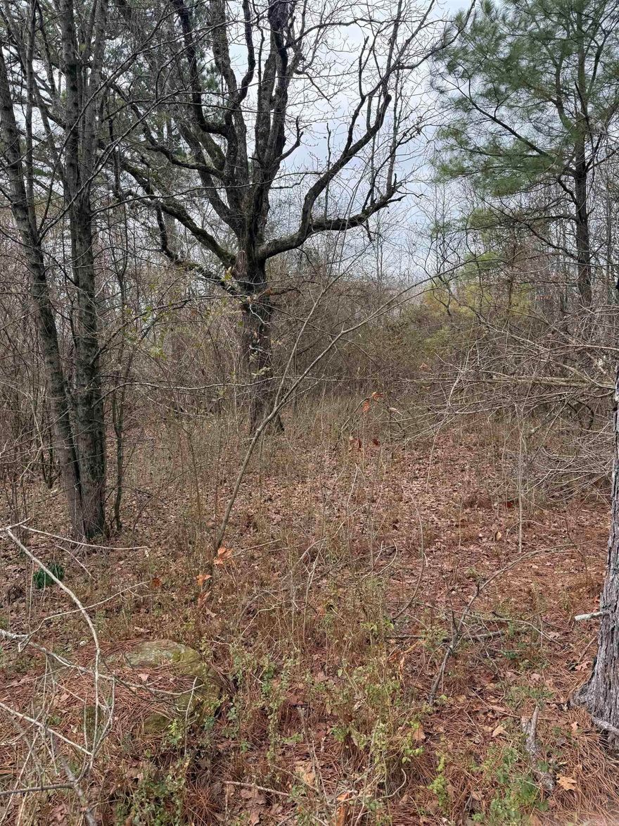 Property has great road frontage, large oak trees, other tress and undergrowth.  Water well, city water at road, paved driveway, septic tank, concrete area. This was a old home place before the road wad widened.