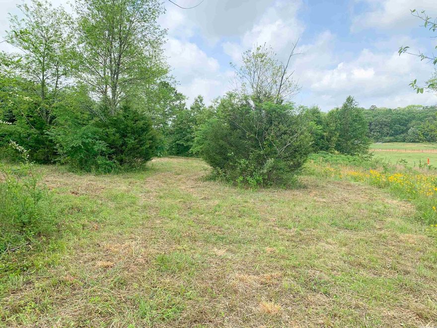 Beautiful lots, just one-half mile North of Quitman, in the quiet Mill Creek Properties Subdivision. Best of both worlds with partial clearing, but some large shade trees left on property.  Excellent location to build your new home - less than 2 miles to Quitman School, and only 10 minutes to fishing and boating on Greers Ferry Lake. This is a rare find with city water AND city sewer available to hook to. No mobiles. Minimum building square footage is 1,200. Lots 8, 9, 10, and 11 are available.