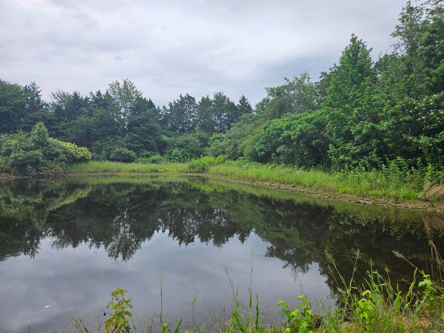 39.00 Rural acres just outside of Morrilton, perfect for your future home! Abundant hardwood, mature trees. All your utilities are available at this property, just clear your preferred spot and start building! Come see it today!