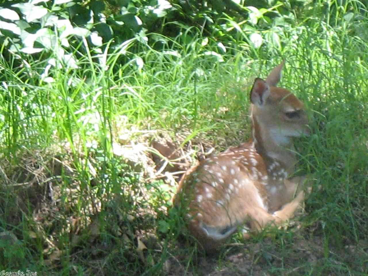 Candlewood - Residential