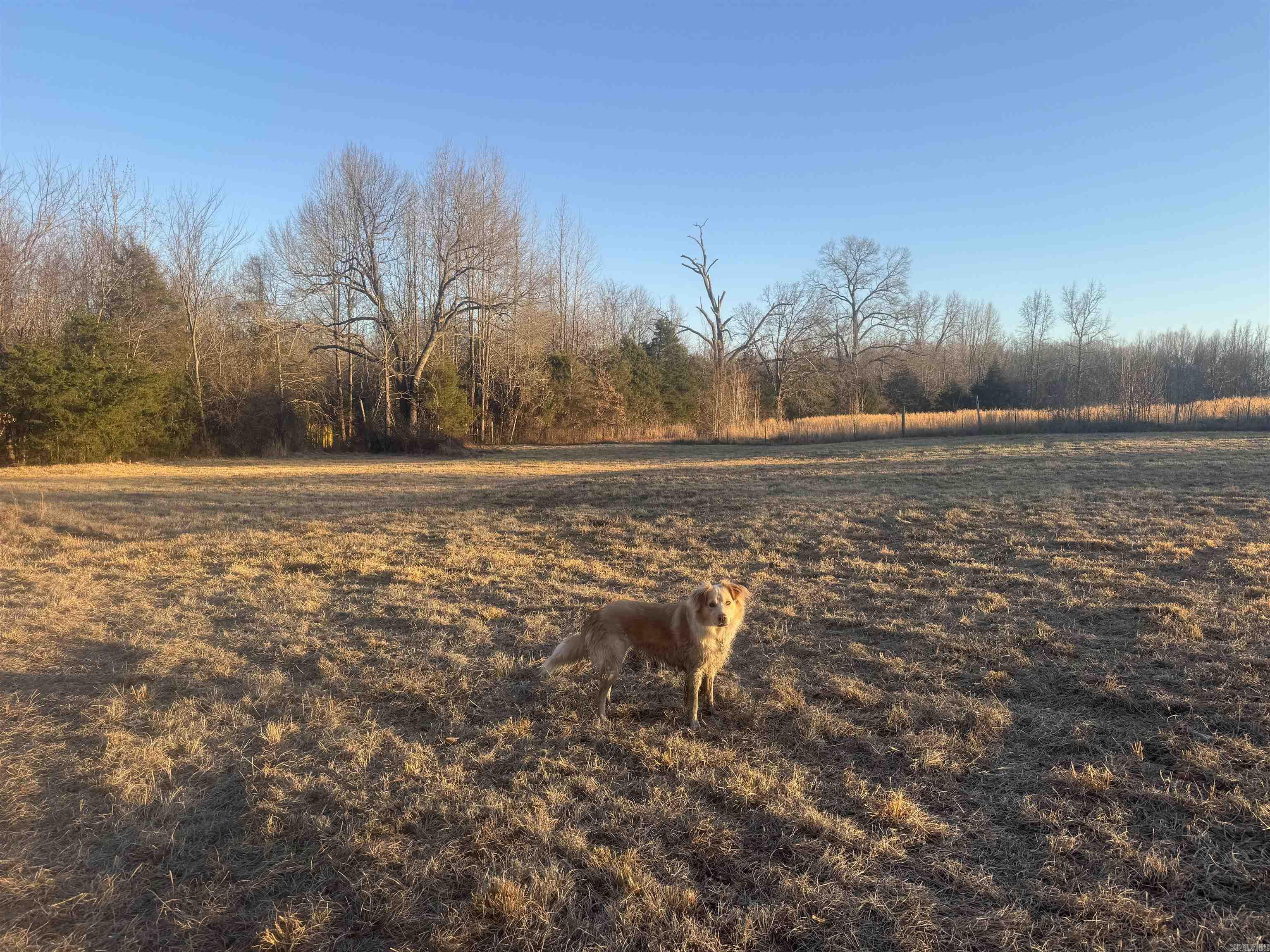 Cadron Meadows - Land