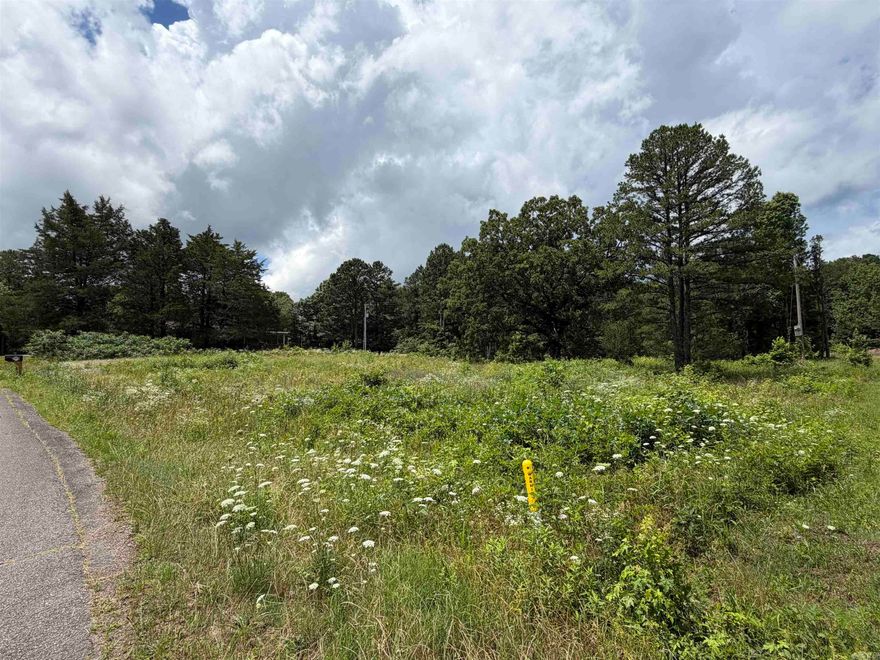 Heber Springs area, Large wooded lot with 2-3 extremely large trees. Well established neighborhood, All utilities are available on site including gas.