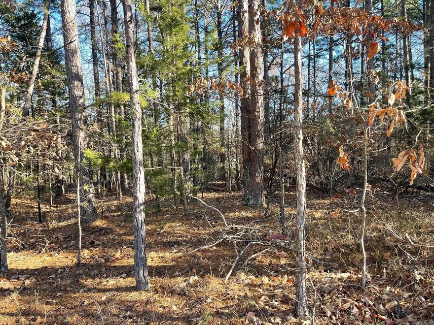 Welcome to your own slice of paradise in beautiful Fairfield Bay, Arkansas! This GOLF COURSE, double replatted lot offers the perfect opportunity to build your dream home in one of the most desirable locations in the state, with access to a wealth of amenities.  Just minutes away from stunning Greers Ferry Lake. Whether you're an avid fisherman, boater, or simply enjoy relaxing by the water, this location has something for everyone. But that's not all Fairfield Bay also offers a wide range of amenities to its residents, including 3 swimming pools, 2 18-hole golf courses, hiking and biking trails, ATV/UTV trails, pickleball and tennis courts, and a full-service marina. Whether you're looking for outdoor adventure, a friendly game of tennis, or a relaxing day by the pool, Fairfield Bay has you covered. The lot itself is generously sized and offers plenty of room for your custom-built home, as well as any additional amenities you desire. With easy access to utilities and services, including water, sewer, and electricity, you'll have everything you need to make your dream a reality.