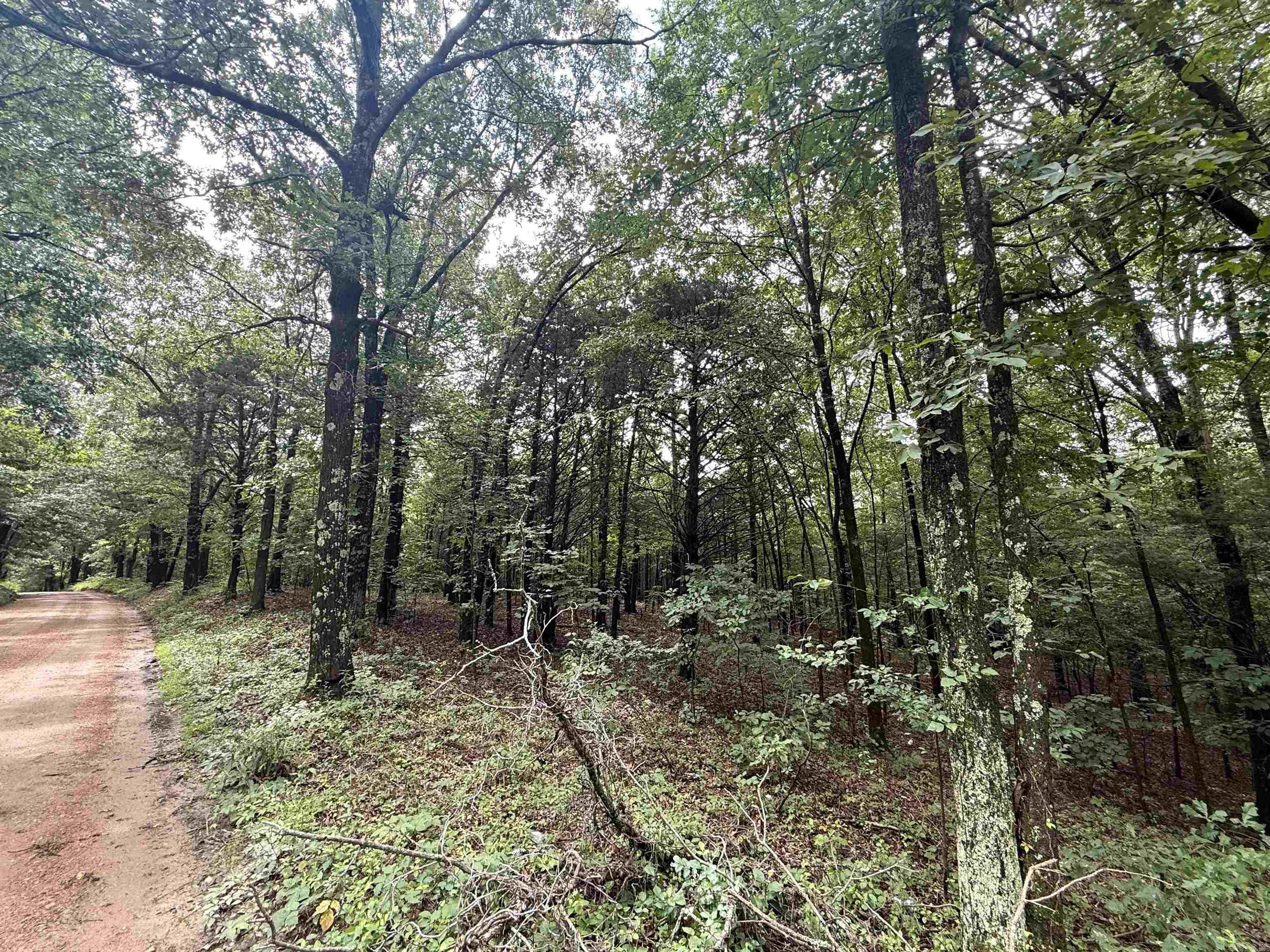 Escape to the quiet countryside with this 10.53-acre recreational property located at Clay 472/461 Road in Piggott, AR. Nestled in the heart of Clay County, this tract offers a perfect blend of seclusion, accessibility, and natural beauty- ideal for hunters, outdoorsmen, or anyone seeking a peaceful getaway. The property has a mix of deer, turkey and other wildlife year-round. Come check out this property today!!