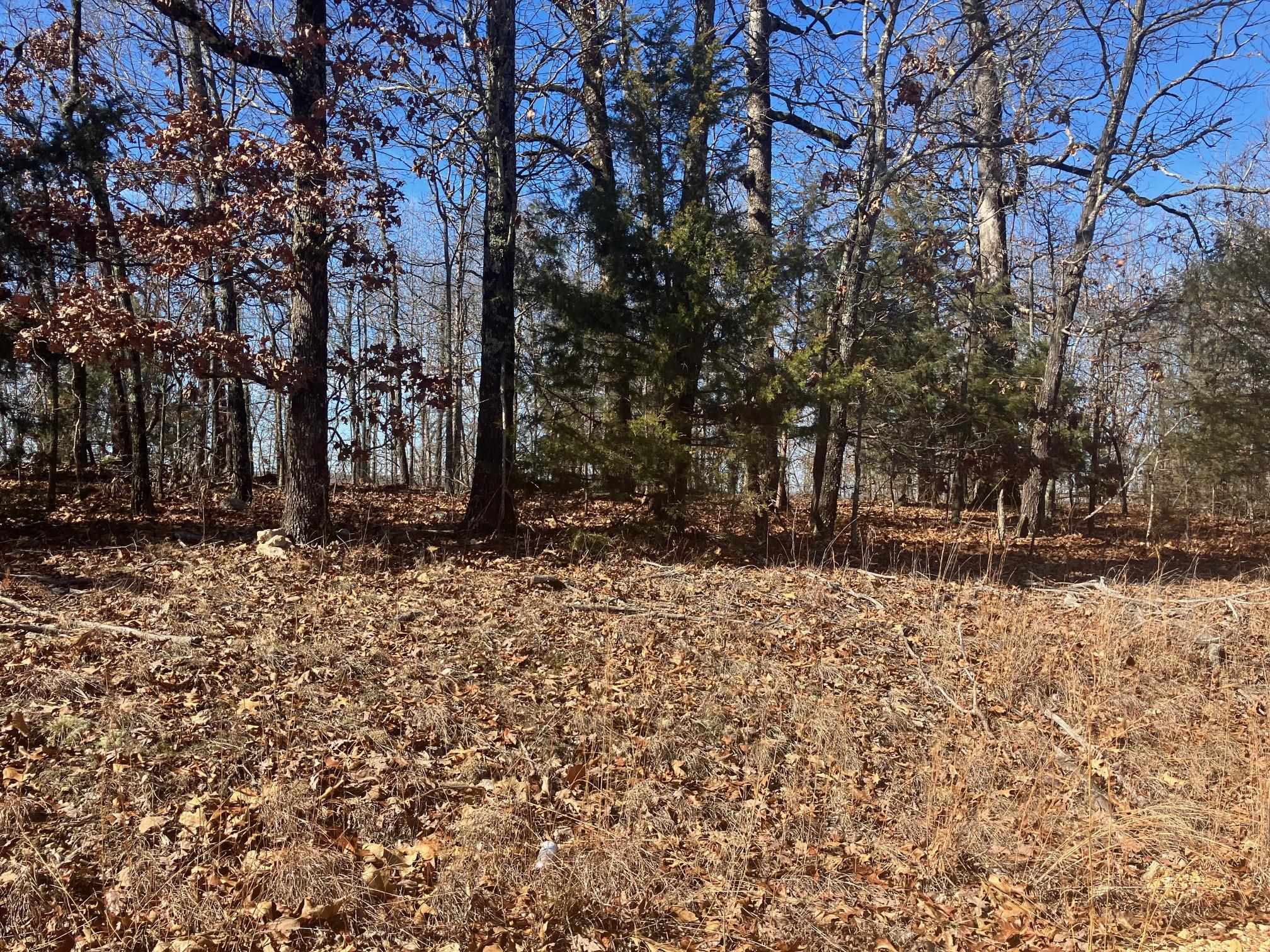 Not in Subdivision - Land