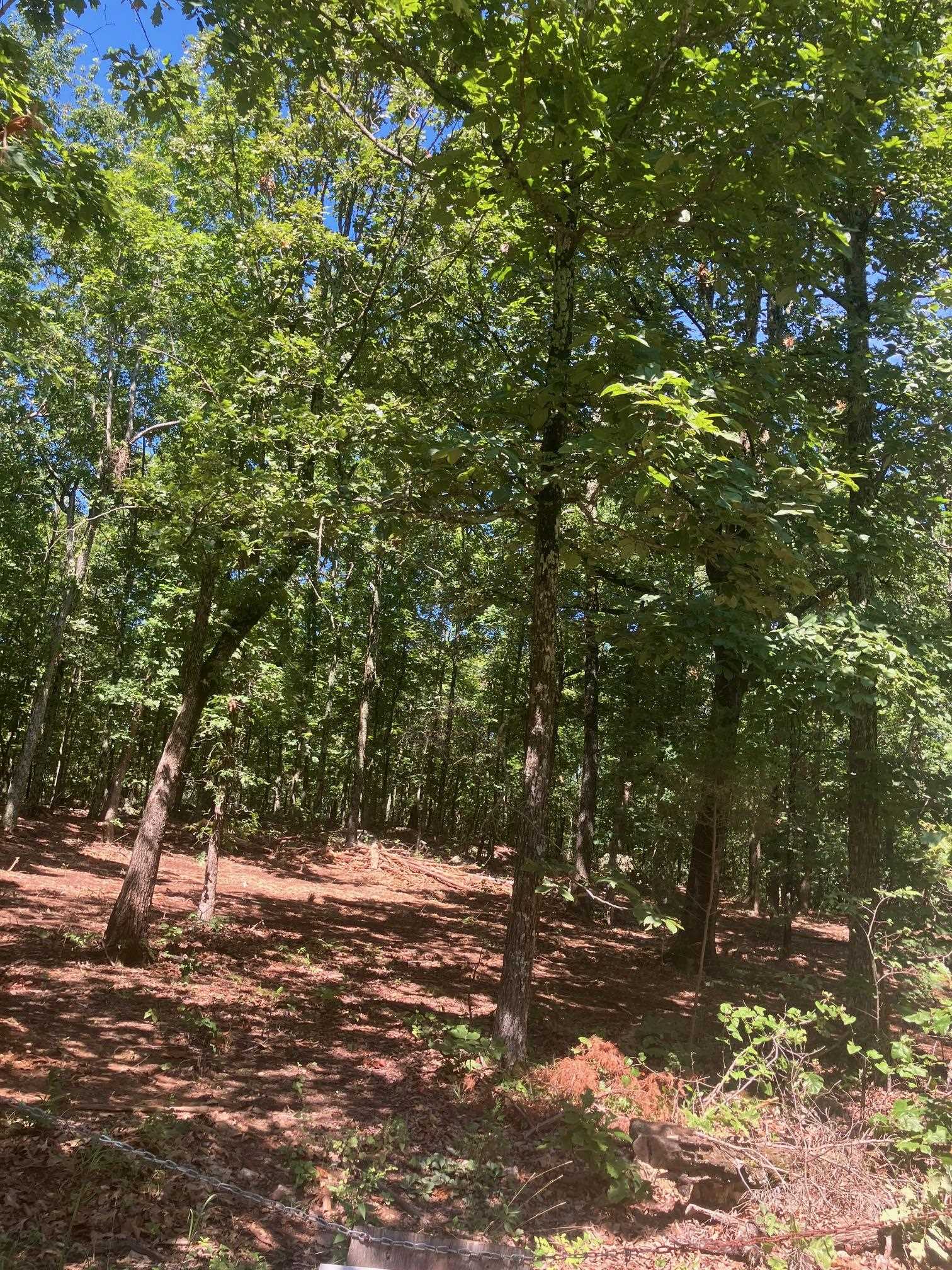 Not in Subdivision - Land