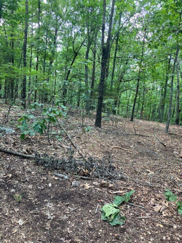 Not in Subdivision - Land