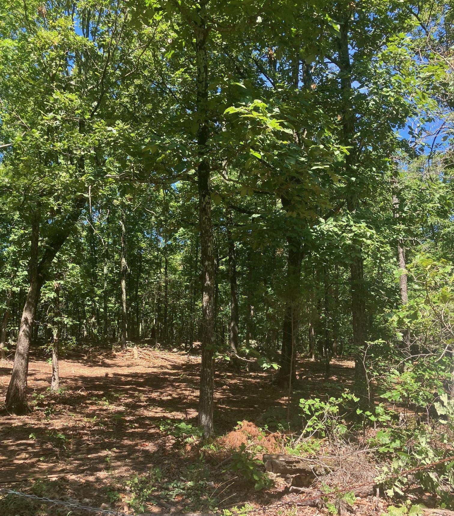 Not in Subdivision - Land