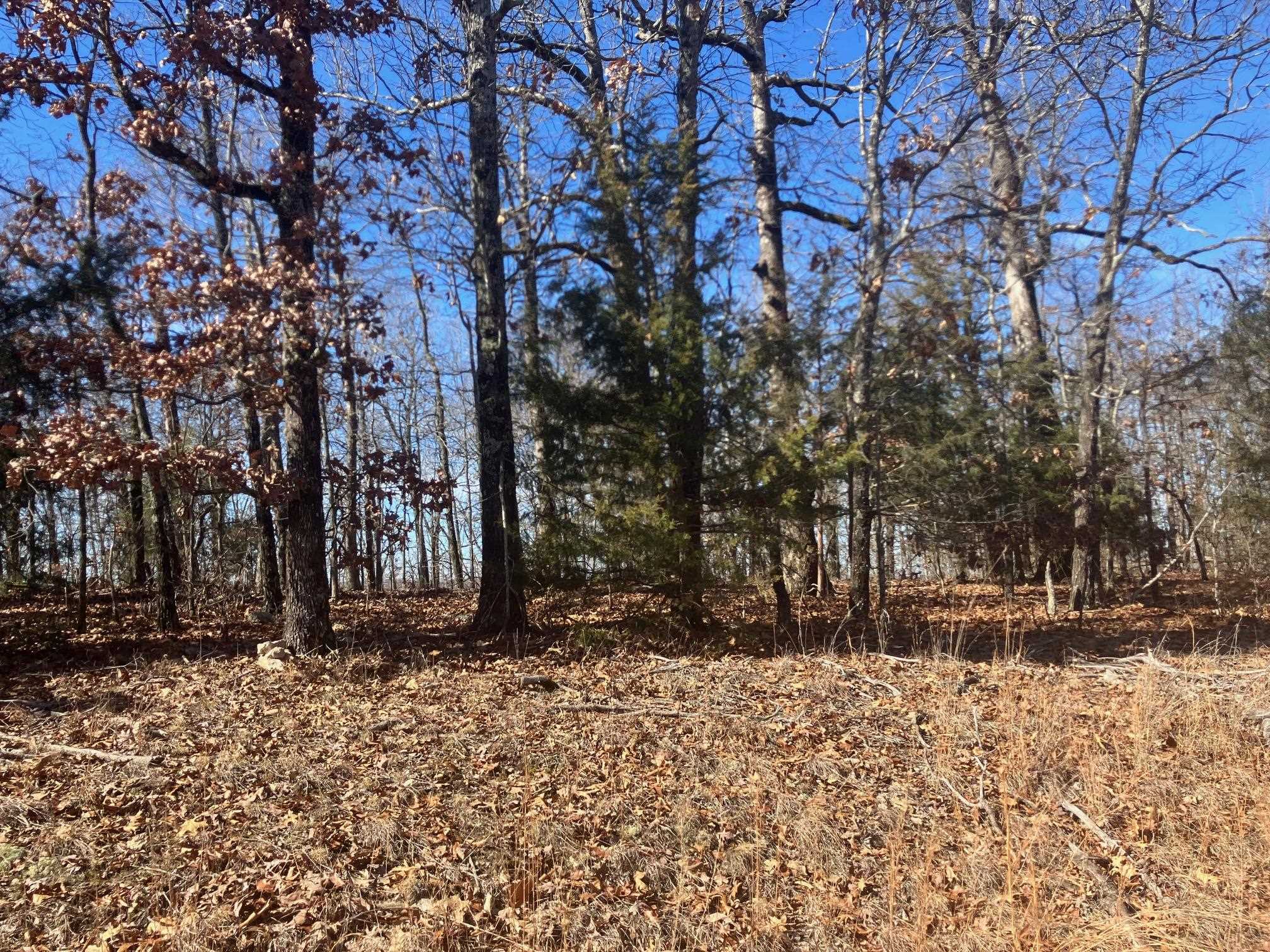 Not in Subdivision - Land