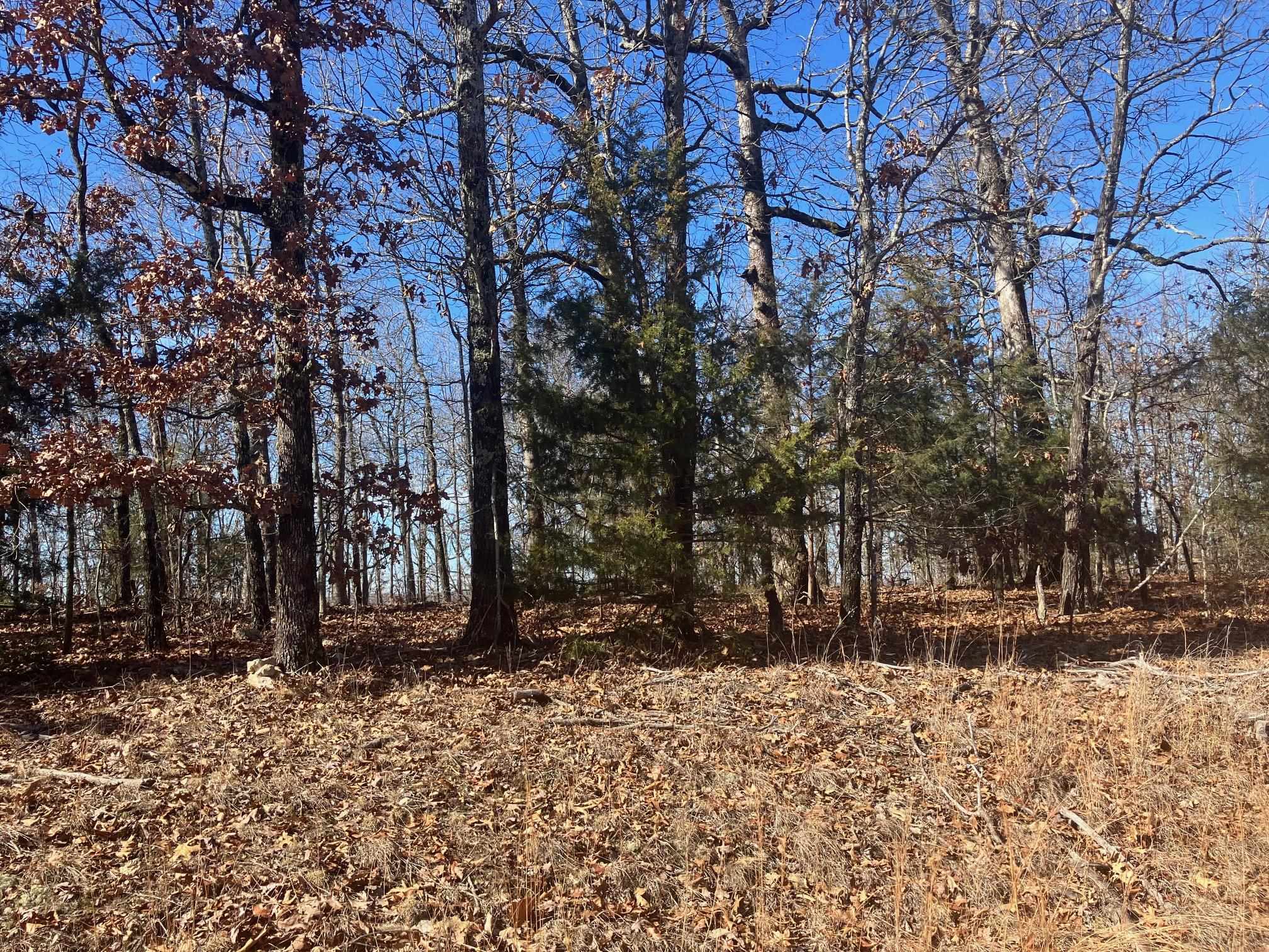 Not in Subdivision - Land