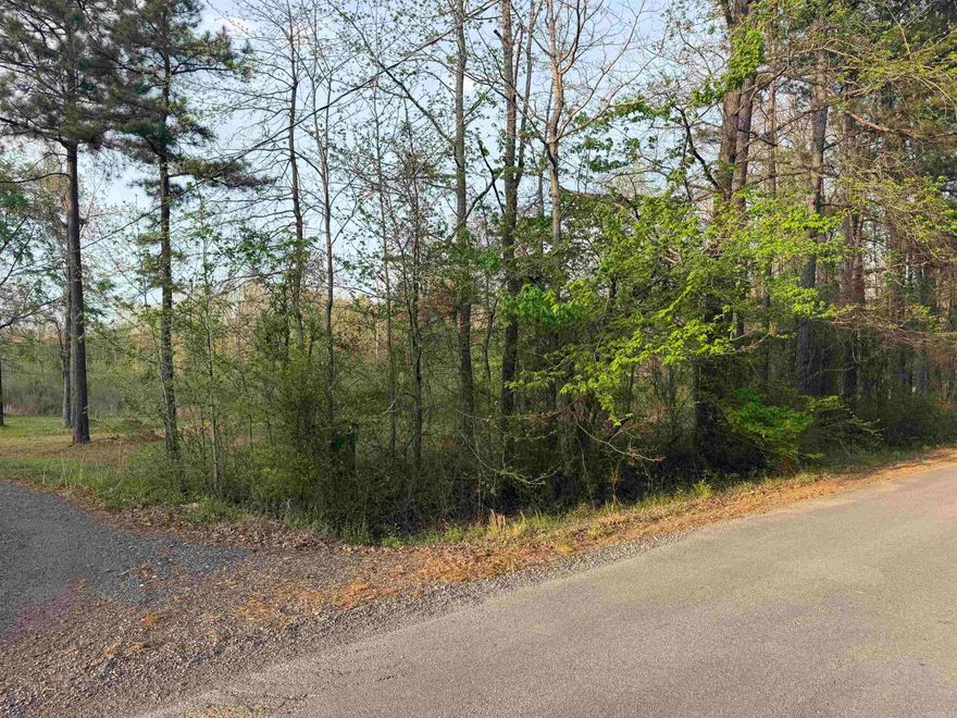 Great residential lot perfect for a mobile home or new construction