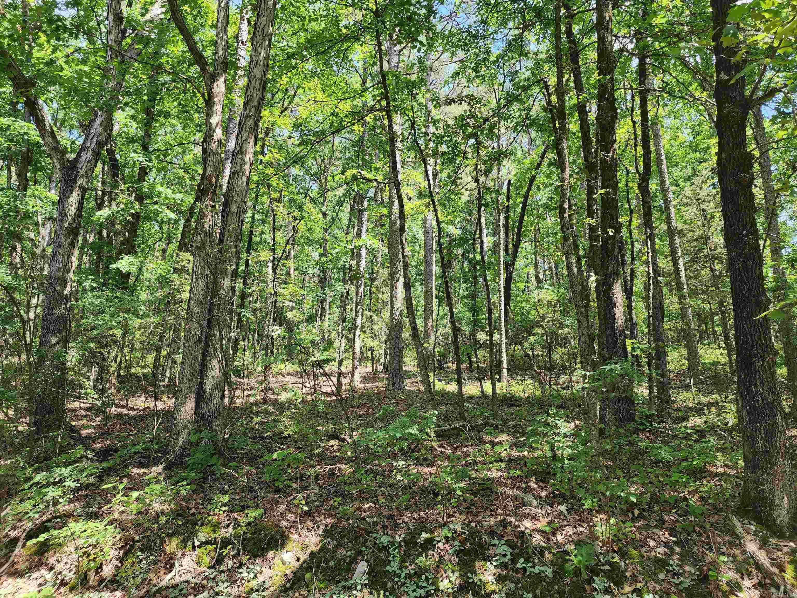 Welcome to Hot Springs Village, where you can live in the Largest Gated Community in North America! You will have access to 11 Recreational Lakes, 9 Golf Courses, 13 Tennis Courts, 14 Pickleball Courts and 30 Miles of Walking Trails!! Private Lot where you can be the first person on the ENTIRE Cul-De-Sac! Wooded lot with mature trees on the west side of the Village. Quick access to the West Gate and Desoto Club. Prime location to build your dream Home! "Owner is a licensed agent"