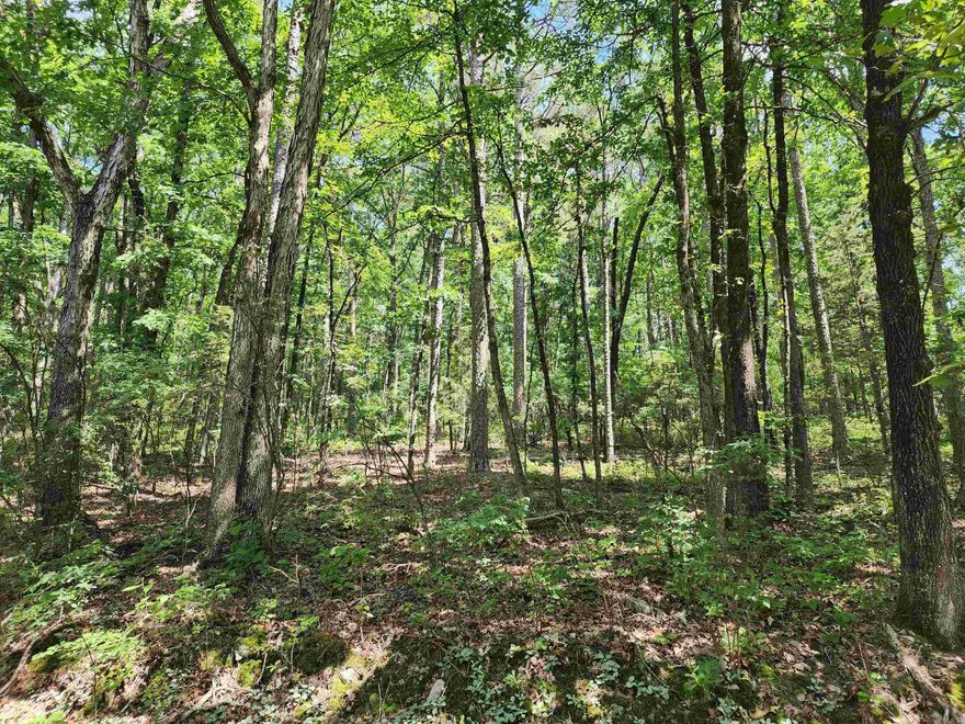 Welcome to Hot Springs Village, where you can live in the Largest Gated Community in North America! You will have access to 11 Recreational Lakes, 9 Golf Courses, 13 Tennis Courts, 14 Pickleball Courts and 30 Miles of Walking Trails!! Private Lot where you can be the first person on the ENTIRE Cul-De-Sac! Wooded lot with mature trees on the west side of the Village. Quick access to the West Gate and Desoto Club. Prime location to build your dream Home!  "Owner is a licensed agent"