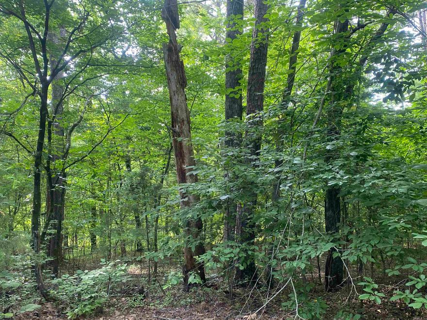 This lot is the perfect canvas for your dream home in the serene and sought-after community of Hot Springs Village, Arkansas. This vacant lot offers a unique opportunity to build a custom residence amidst the natural beauty and tranquility of one of the largest gated communities in the United States.  Nestled in a peaceful neighborhood, this lot is enveloped by lush greenery and mature trees, providing both privacy and a picturesque setting. Conveniently located near the West Gate, you’ll have quick access to essential services and nearby attractions, including the historic city of Hot Springs, known for its therapeutic thermal waters and rich cultural heritage. Whether you're planning to retire, raise a family, or invest in a vacation retreat, this vacant lot in Hot Springs Village offers endless possibilities to create a home that perfectly matches your vision. Don't miss out on this exceptional opportunity to secure a prime piece of real estate in a highly desirable location.