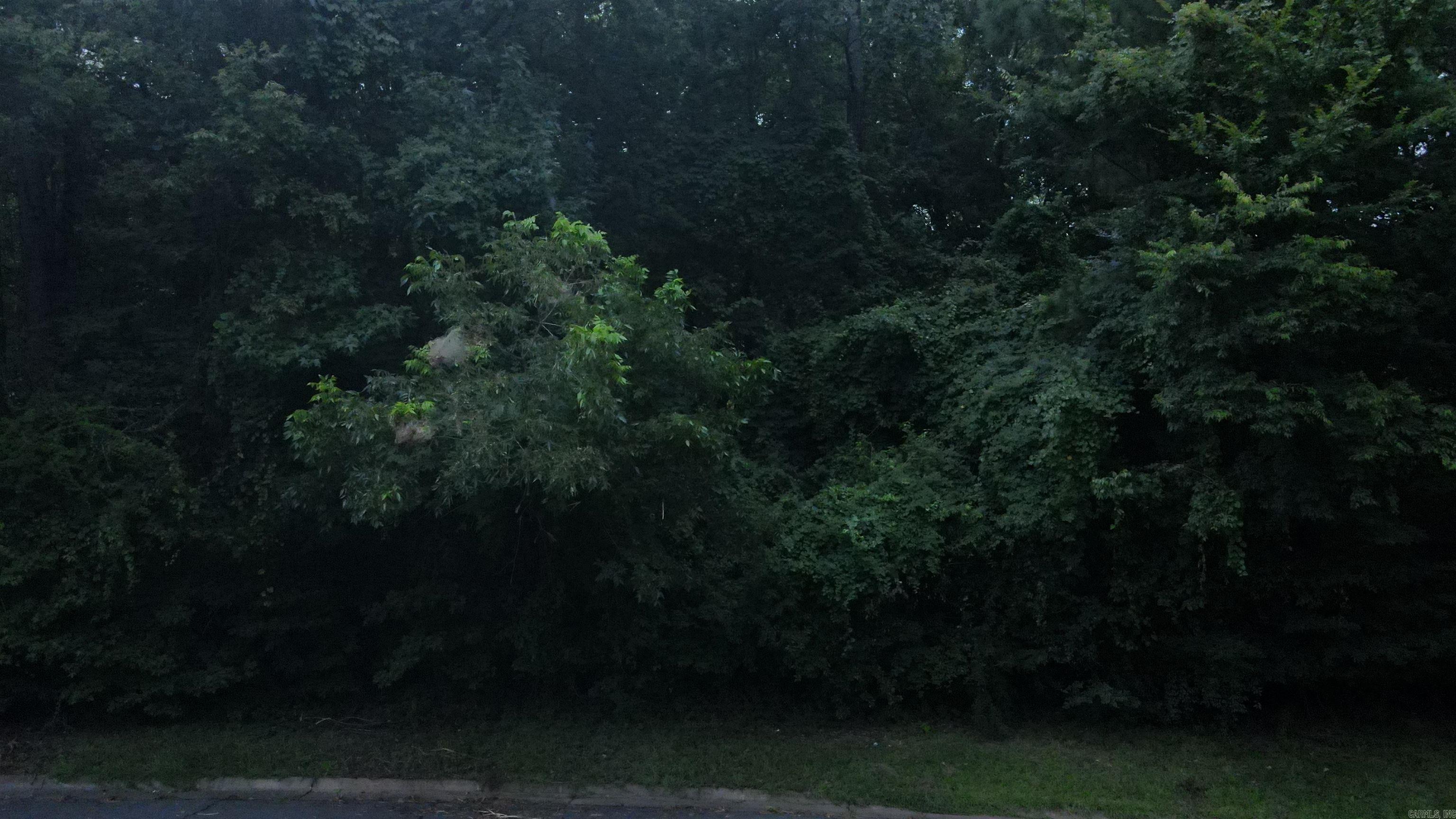 Looking for acreage in Arkadelphia to build a home, 2 lots totalling 1.26 acres inside the city limits. This property sits in a well established neighboorhood with mature trees in secluded setting.