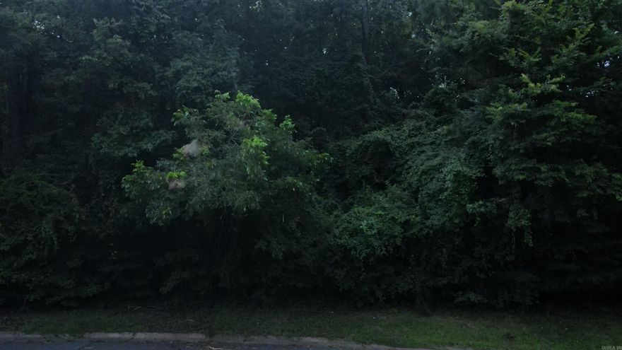 Looking for acreage in Arkadelphia to build a home, 2 lots totalling 1.26 acres inside the city limits.  This property sits in a well established neighboorhood with mature trees in secluded setting.