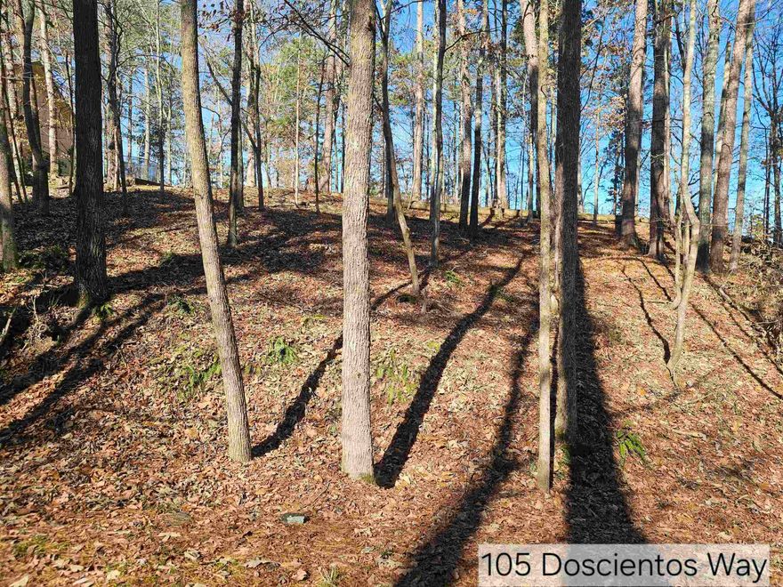 Nice, upsloped, golf-frontage lot with great views of the Cortez golf course on the west side of Hot Springs. Bring your house plan & builder, and build your dream home in this gated, golf community. There's a one-time buy-in fee of $300.00 for an unimproved lot for new members, which is collected at closing.