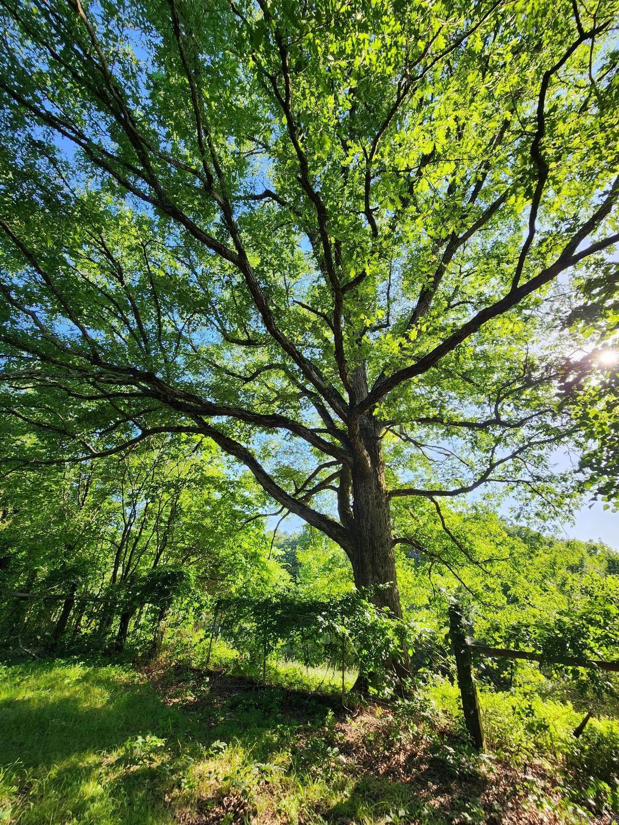 Garland County - Residential