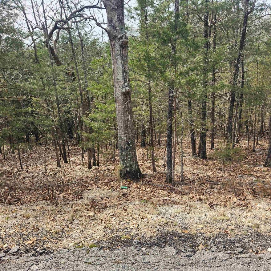 Really nicely wooded, hillside lot that could have outstanding views if a home was built properly. This lot sits high up on Flathead Rd with a possible great view over the Southfork River Valley. Flat head is a well-maintained road in the village. Come check this lot out, check out the view and see where you want to put your vacation home or your forever home. Retire here and fish 7 different lakes and golf 2 different 18-hole golf courses. Shop in Old Hardy town and trout fish the Spring River. Thats living the Cherokee Village lifestyle.