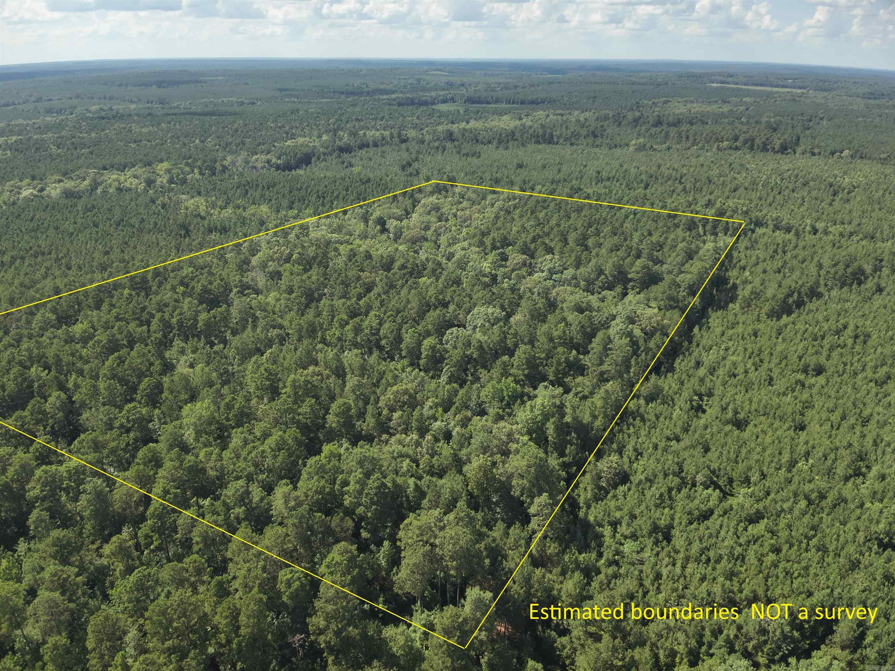 The āWest Irma Tractā (#03019-004074) is a ±26.867-acre tract located in the south-central part of Nevada County about three miles southwest of Rosston. Looking for a great timberland and hunting investment? Look no further as this property is in a great area for deer and turkey! With a mature stand of mixed pine and hardwood timber the open understory is great for turkey and the red oaks and white oaks should have the deer pulled in once they start dropping! The excellent timber also provides for significant income opportunity. A timber inventory is available upon request. Donāt miss out on this timberland and hunting investment opportunity!