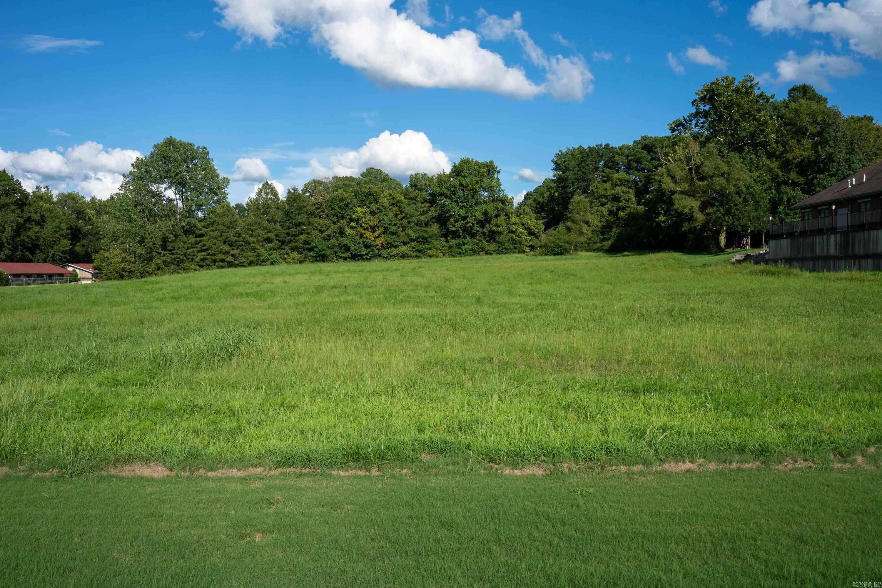 Large 2.95 acre commercial lot to build your new office building or apartment complex in the heart of a medical professional park with Baptist Medical Center nearby. This property is located minutes from I-30 and downtown Arkadelphia.