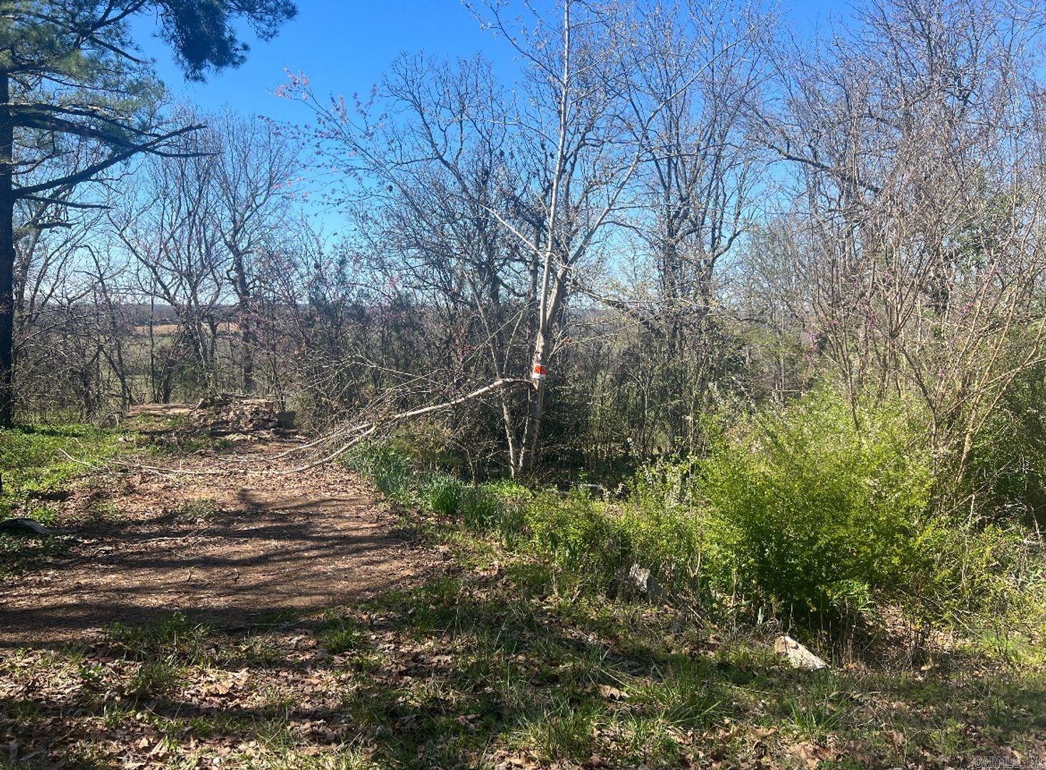 This lot is zoned for a mobile home, you can see this lot has been mostly cleared with some flowers planted, there is an old foundation on this property as well as breathtaking views. Horseshoe Bend is the largest town in Izard County, with 2,180 residents. Come and enjoy the gorgeous view and a slower pace of life. You can stay for a week or call it home; the choice is yours. Horseshoe Bend has so much to do for the whole family like fishing, canoeing, golfing, bowling, swimming, etc.: With a few Lakes and restaurants to choose from for the entire family. I also have lots where you can build your dream home or place a cabin all over Horseshoe Bend. Owner financing The Horseshoe Bend Water Department will have Water & Sewer information for you concerning water service and trash service. That number is 870-670-5885 or you can email at water@cityhsb.org The electricity is provided by North Arkansas Electric Cooperative. Their number is 870-895-3221. Here is your opportunity to buy a beautiful piece of land in Horseshoe Bend. It is the perfect place to build or use as a vacation spot for yourself or your family. Hold onto for yourself or give it to your kids down the road.