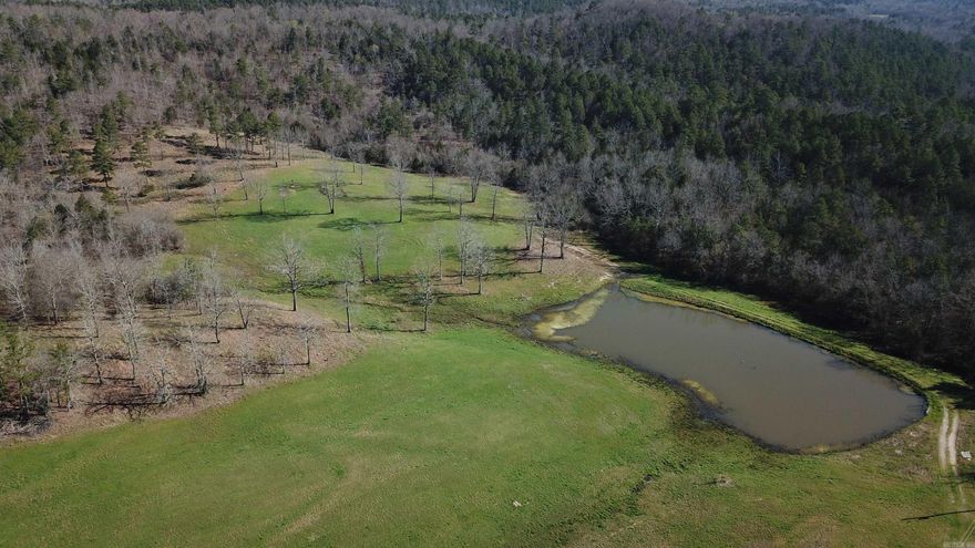 Tucked away in the heart of Montgomery County, Arkansas, lies a pristine sanctuary for outdoor enthusiasts and nature lovers alike. This remarkable 40-acre property offers a harmonious blend of natural beauty, abundant wildlife, and unparalleled opportunities for adventure, making it a haven for those seeking to escape the hustle and bustle of modern life and immerse themselves in the tranquility of the wilderness.Nestled in the property a pond sits just behind the 3 bed 2 bath mobile home where you can watch deer, turkey, bear and many other critters come out of the woods for a drink. With the Ouachita National Forest as its neighbor on two sides, this property offers unparalleled access to thousands of acres of unspoiled wilderness. From towering hardwoods to meandering streams, the forest provides endless opportunities for exploration, hiking, and hunting.