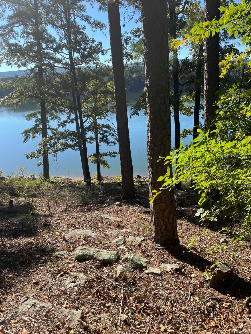 Great 2.77 acres of lakefront property on Greers Ferry Lake!  Partially wooded, part pasture.  No restrictions and not in a subdivision. Many great spots for building a home.  Horse or cows are allowed.  Will need to be perked for septic.  Electric and water run by on main highway. Only 5 minutes to Choctaw Marina and boat landing.