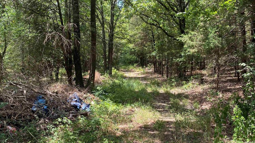 40 acre tract of undeveloped land. Previously farmed. Old house coveys at no value.  Great location for home.