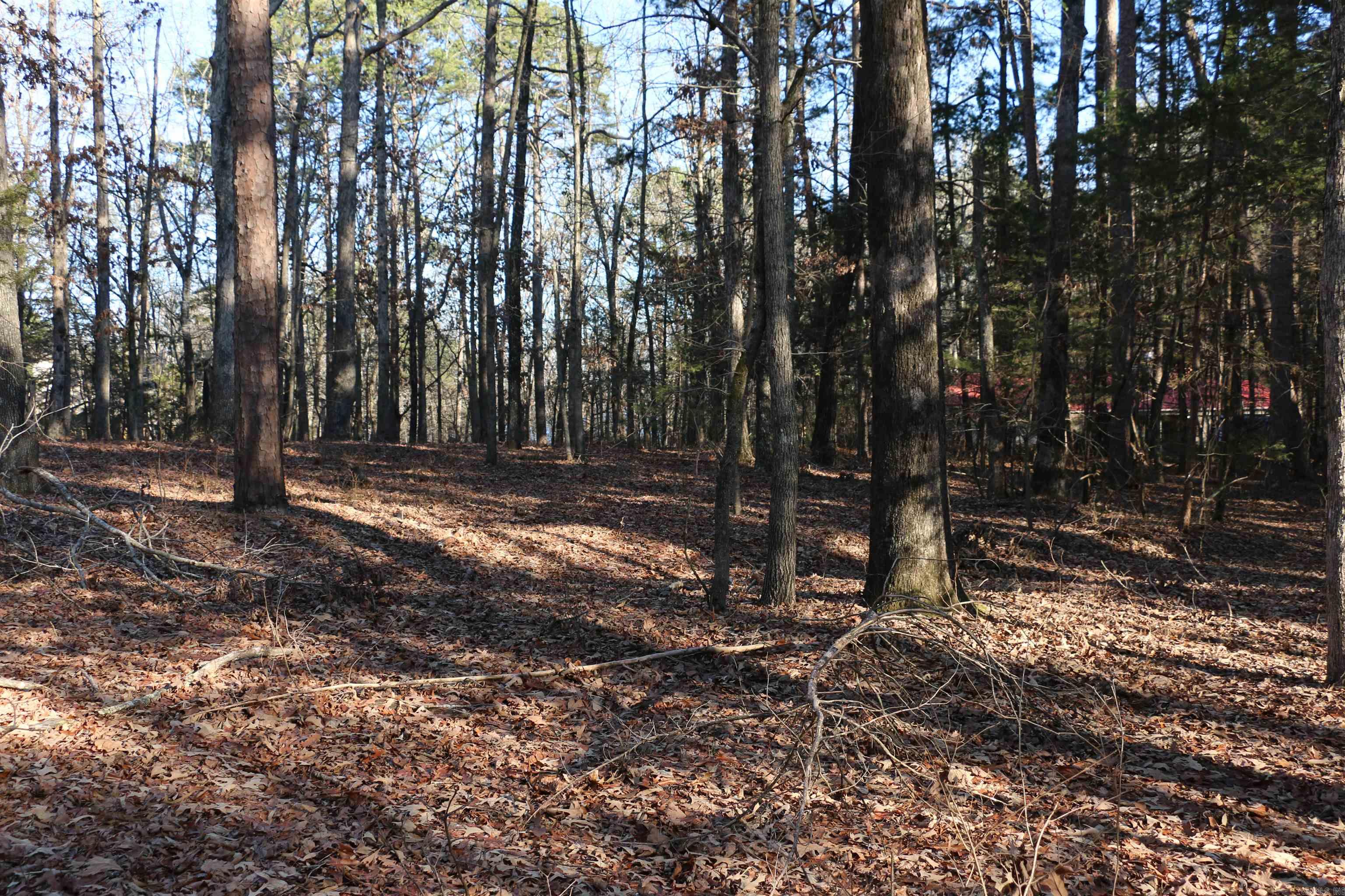 Hamilton Hills - Land