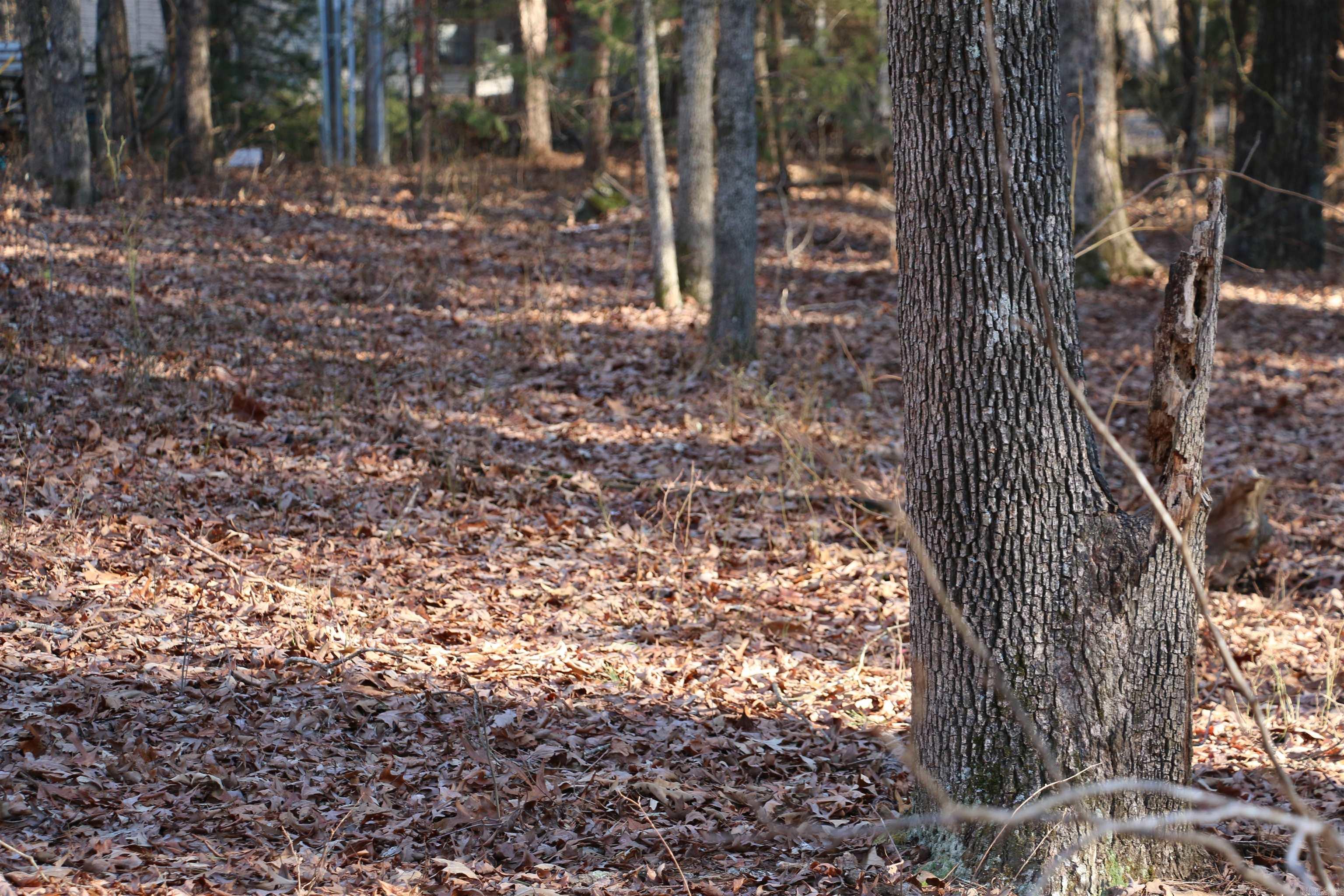 Hamilton Hills - Land